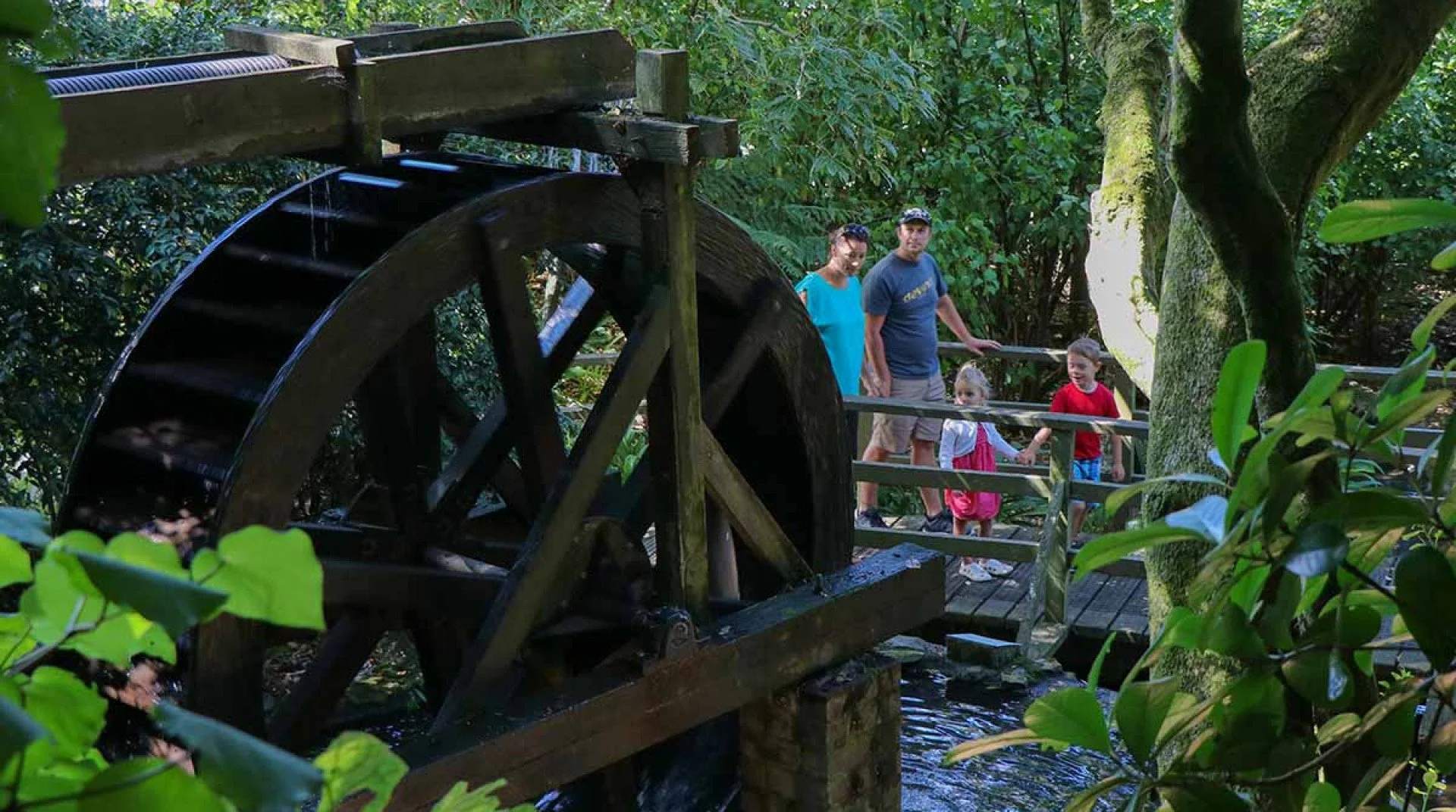 Located in Percy Scenic Reserve, a family of four enjoy a wooden watermill in a lush green forest, surrounded by trees and foliage.