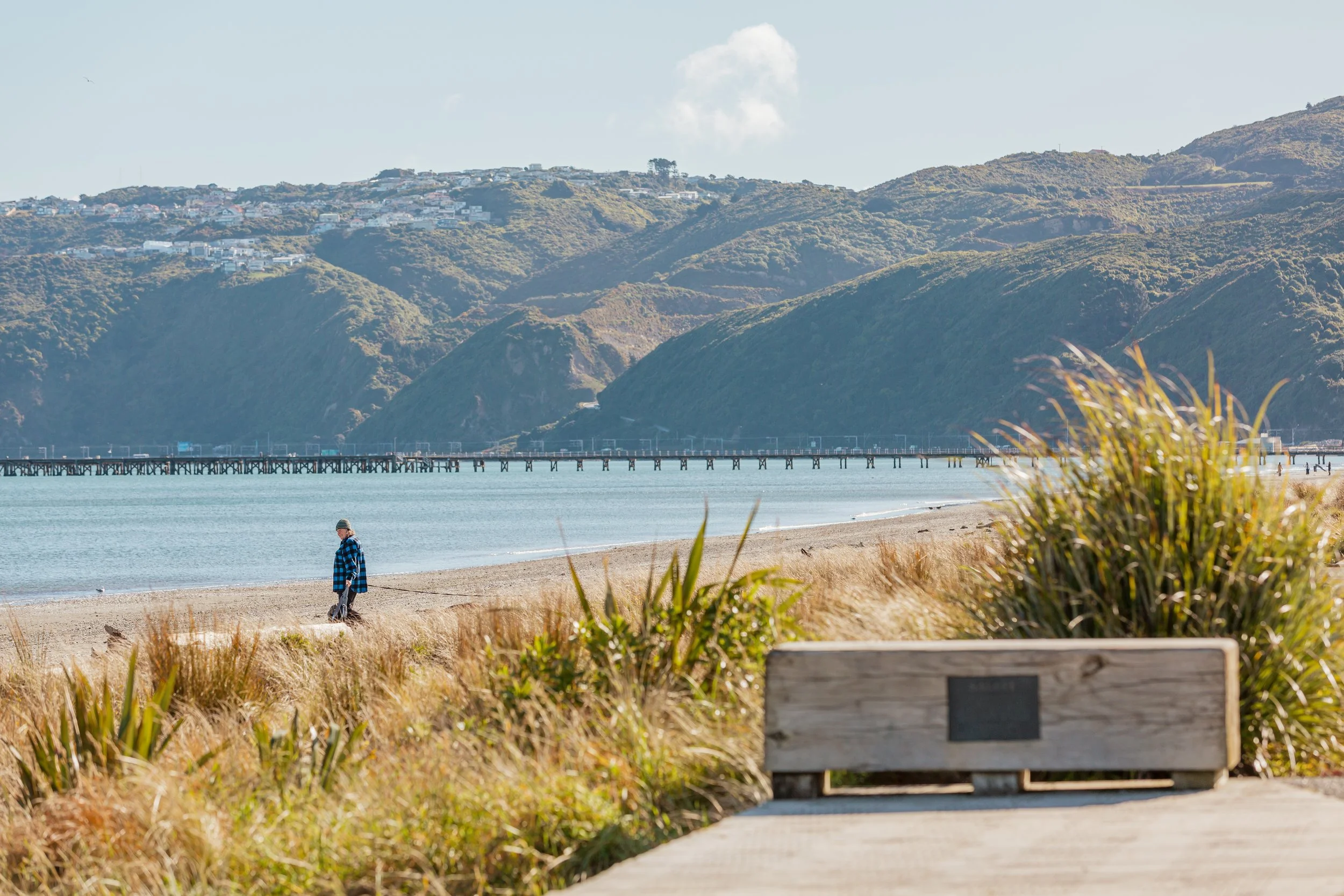 A fisher walking down Petone beach with the wharf and highway visible in the distance