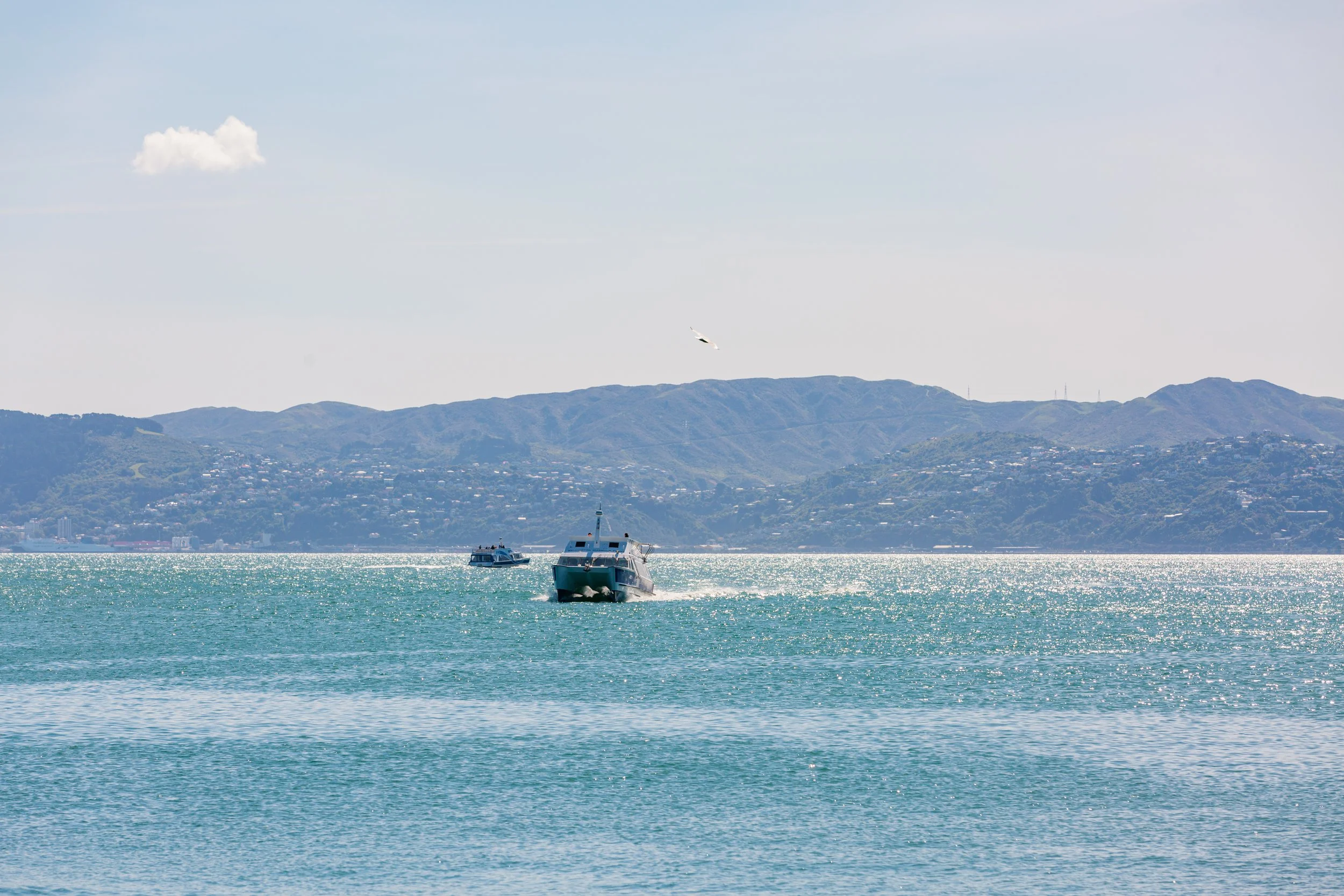 Image of the East by West Ferry on the water, leaving Wellington towards Eastern Bays
