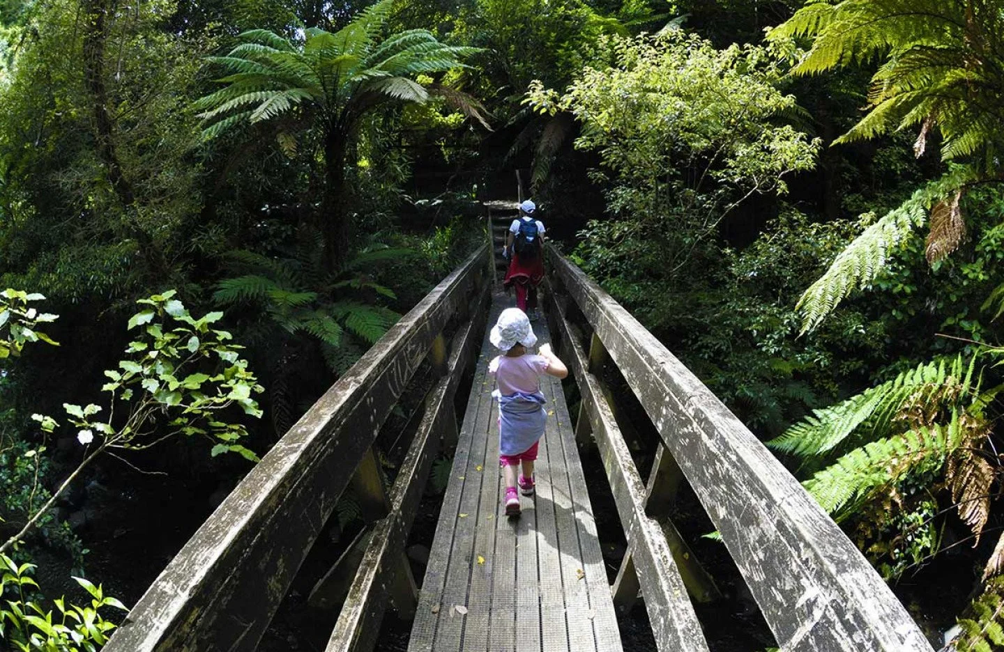 Children walking on a narrow wooden bridge through Belmont Regional Park's lush green forest.