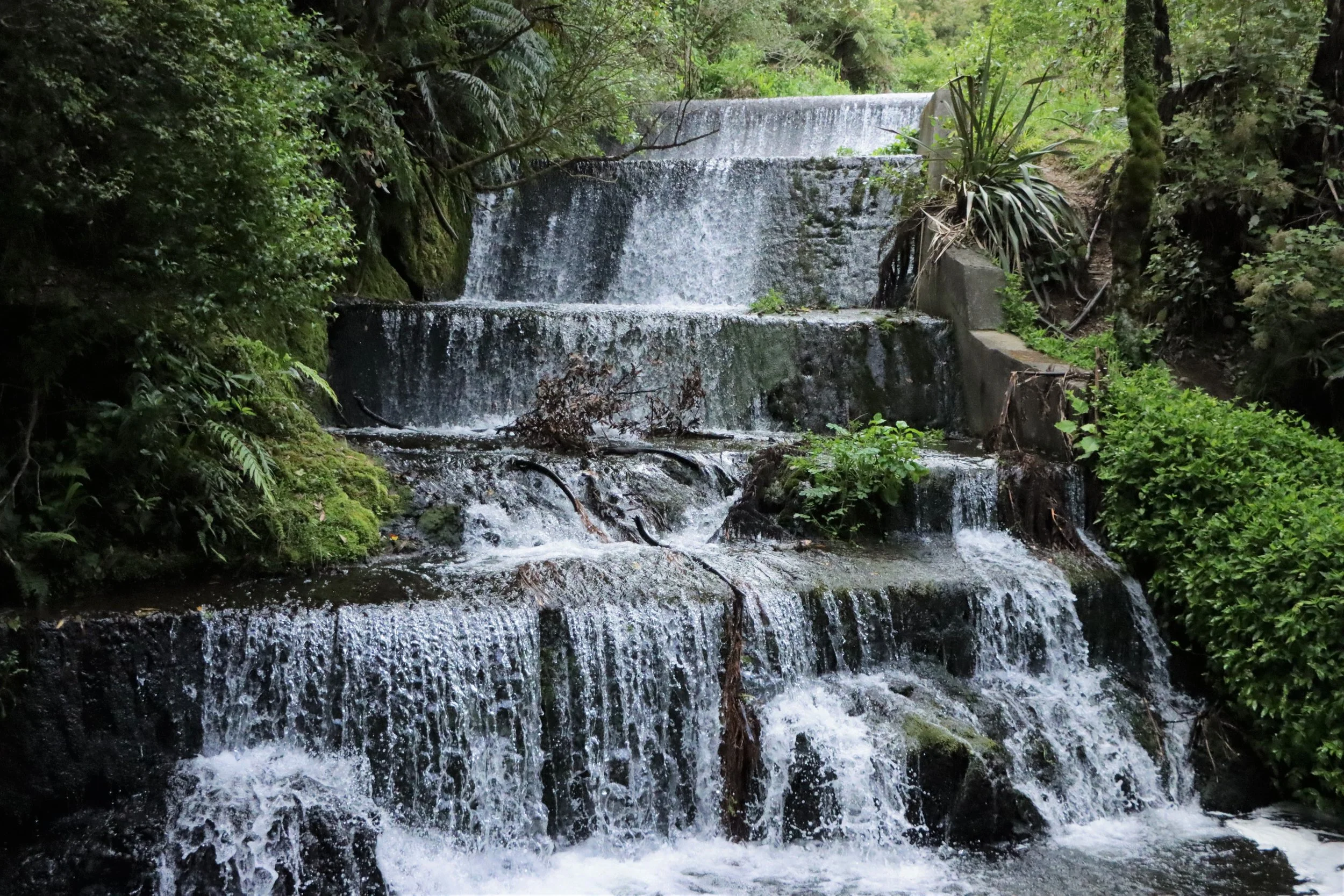 The Korokoro Dam waterfall is located in Belmont Regional Park and surrounded by heaps of greenery and native plants