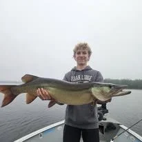 The Wisconsin state fish is the Muskellunge. He is a young man that caught his first musky while fishing with Heindls Fishtails Guide Service located in Rhinelander Wisconsin