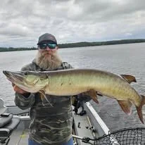 Fall musky fishing is the best time to catch trophy musky in Rhinelander Wisconsin