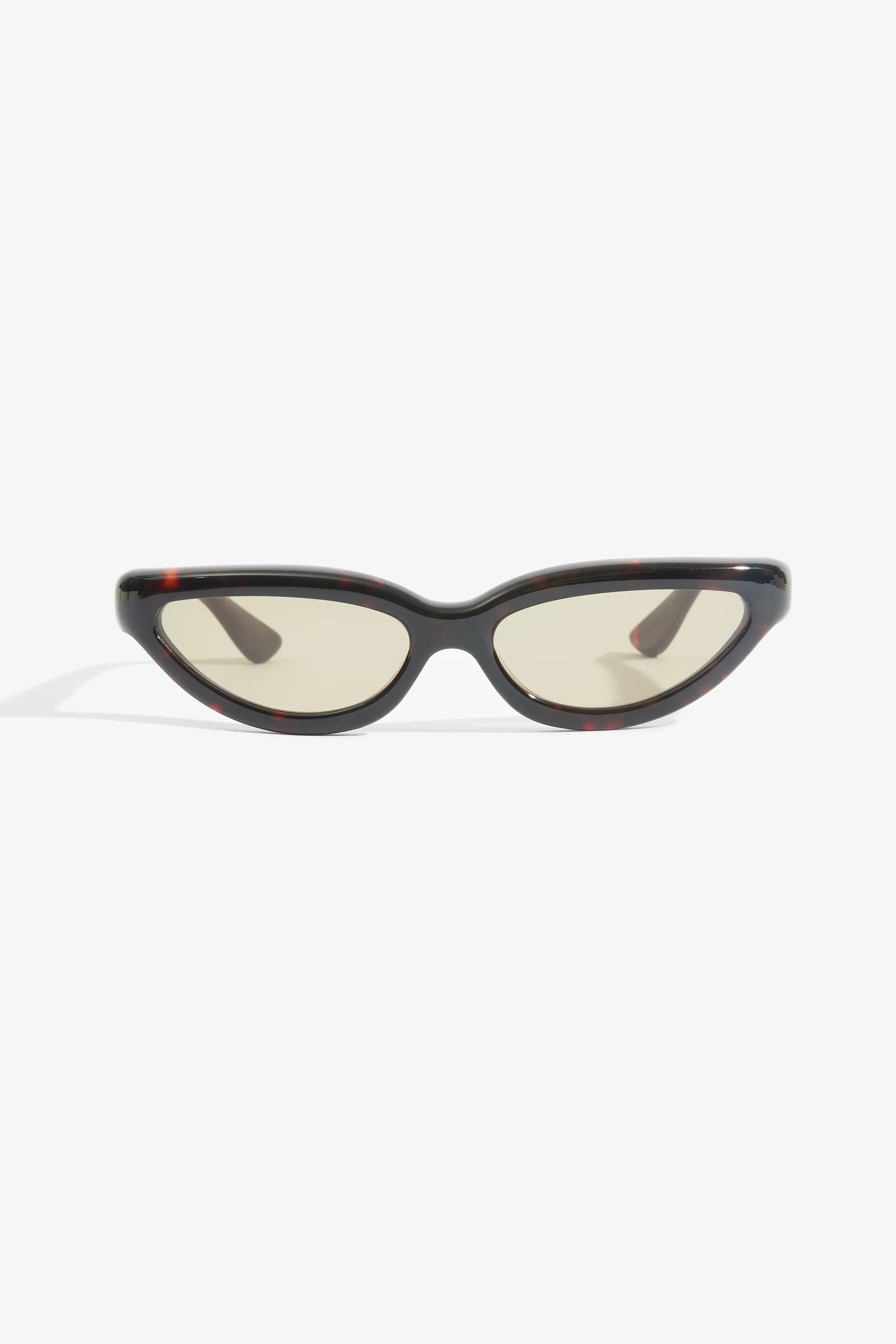 PTFANNAMYRRHOLIVE-1.webp