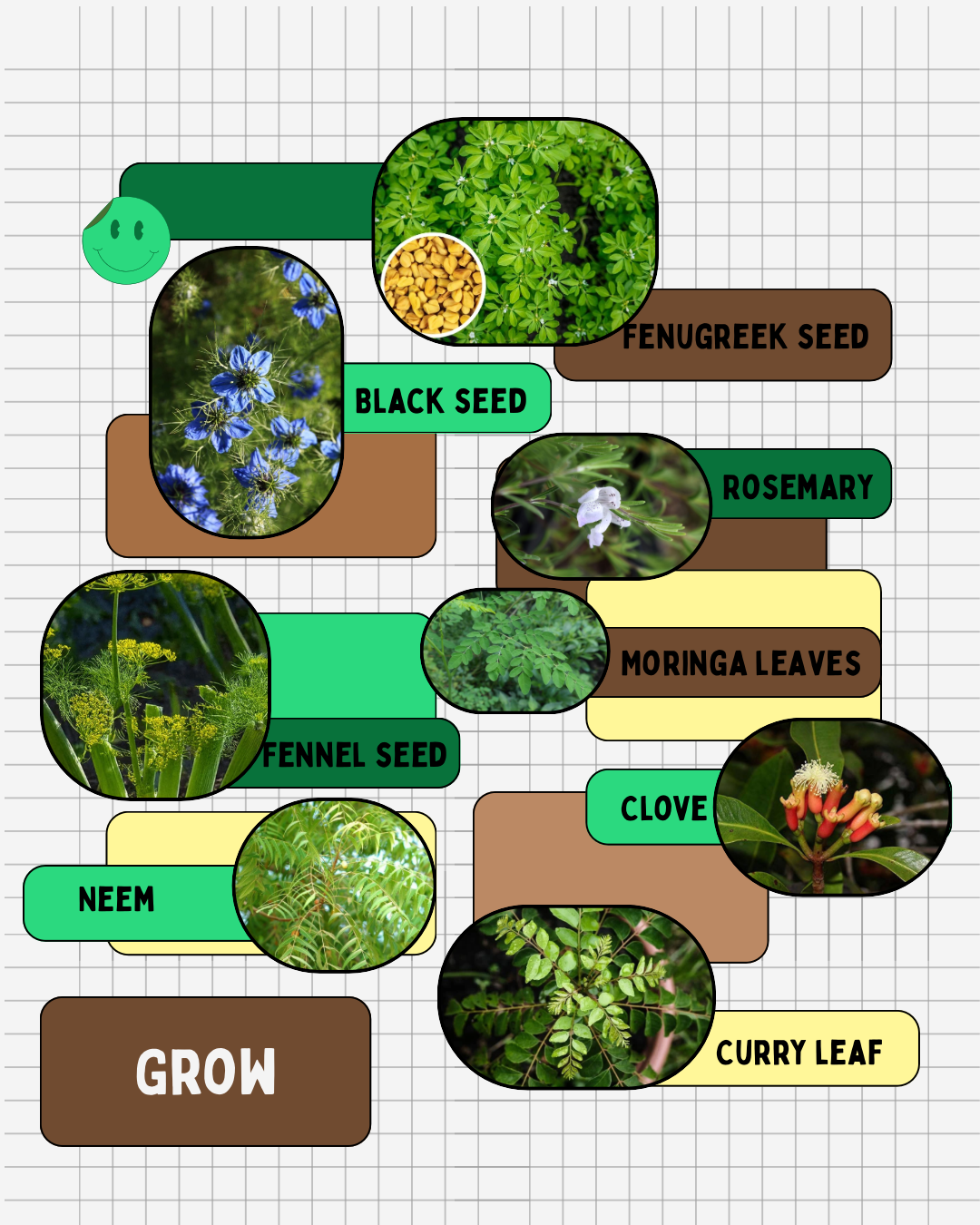 Copy of IG_POST_RR2025_CookbyFeel.png