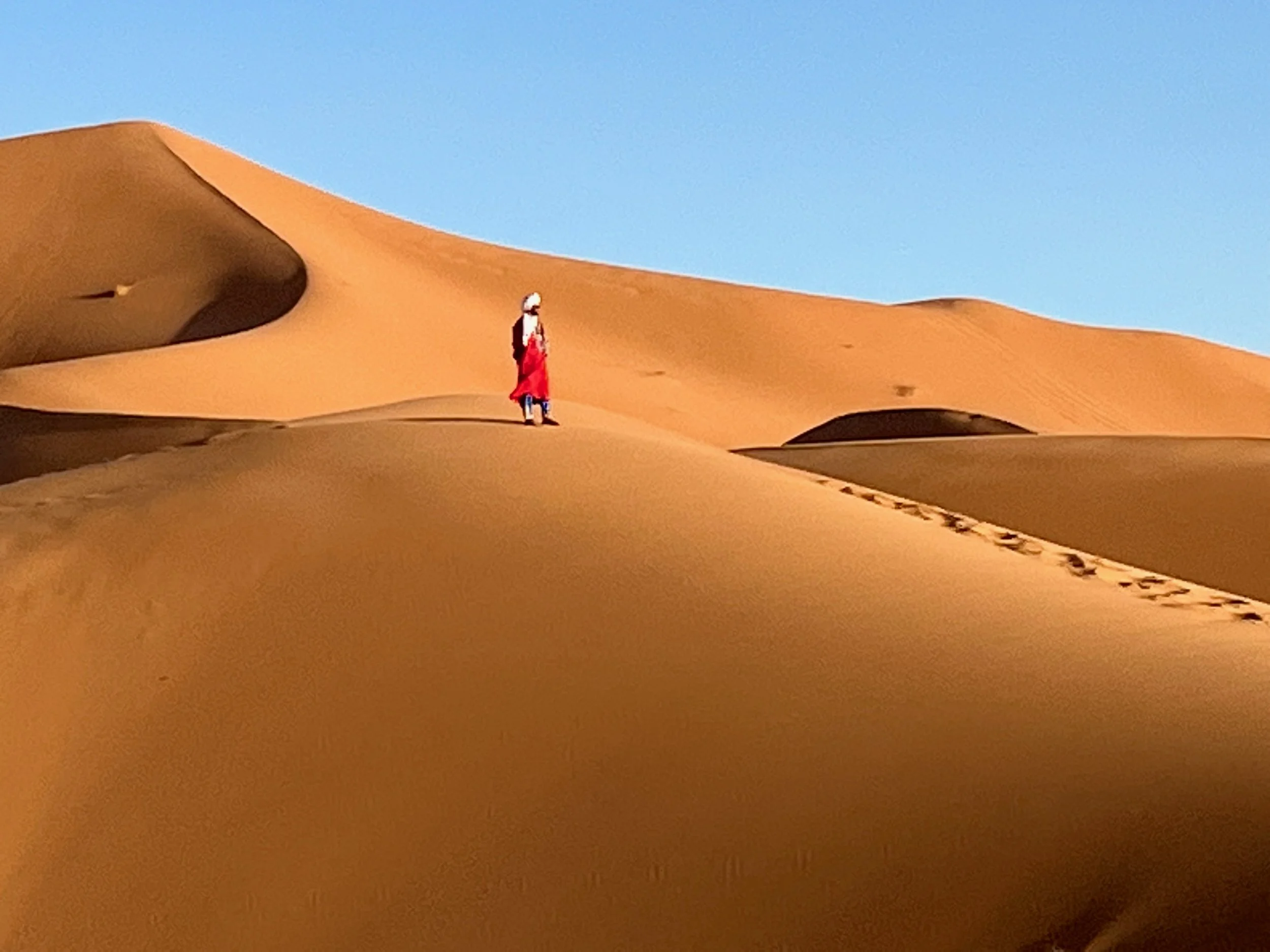 Grief to Suicide Services and Trainings