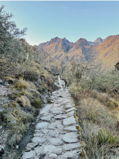 Short Inca Trek to Machu Picchu