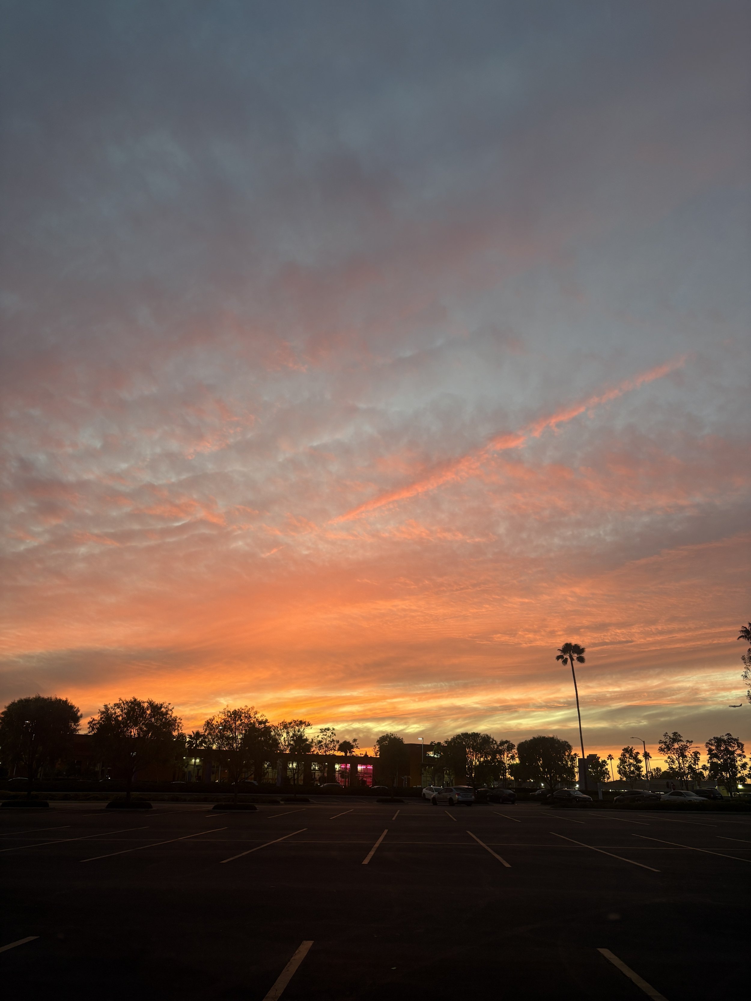 IMG_6682.jpeg