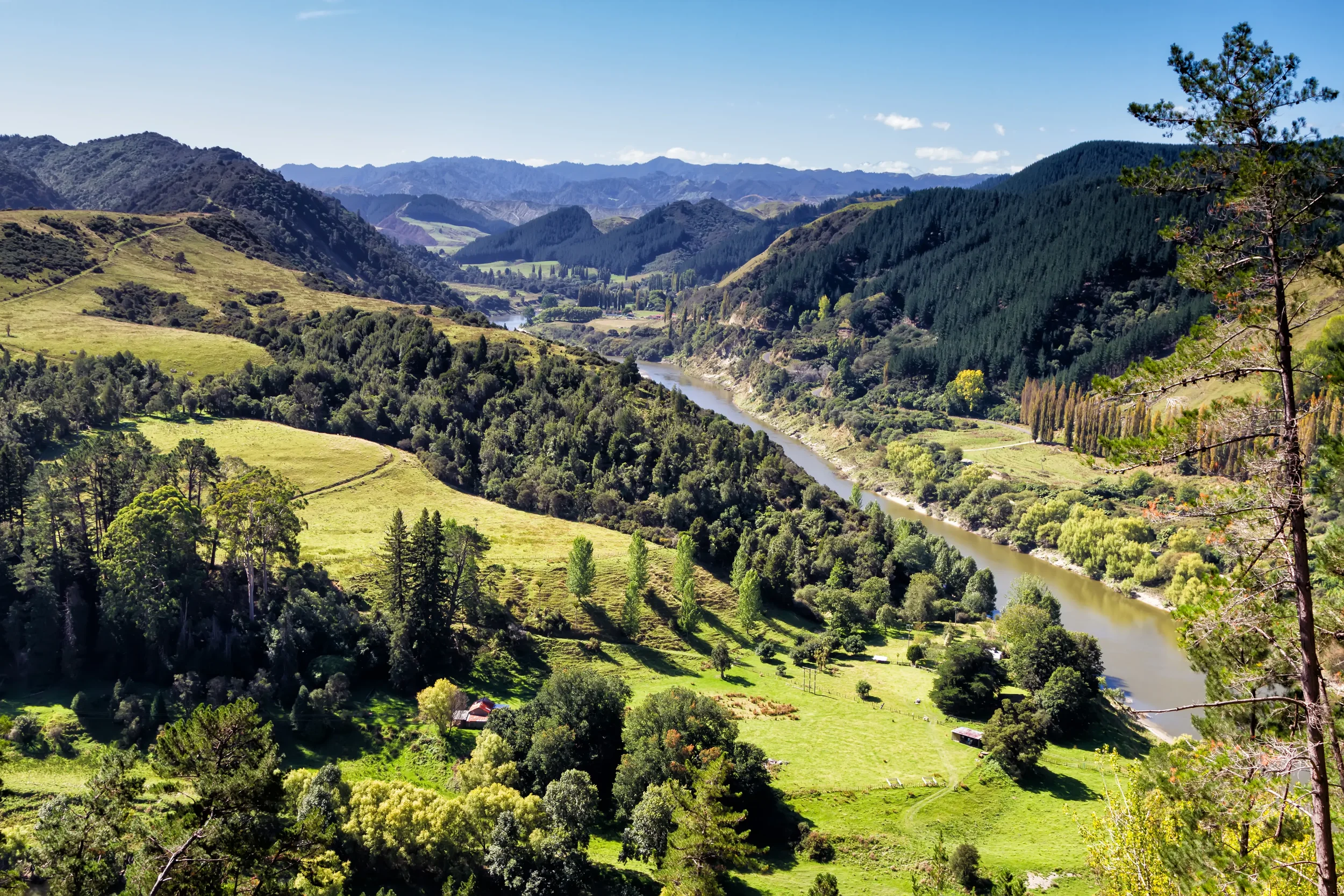 Lawn mowing, exterior house services located in Whanganui