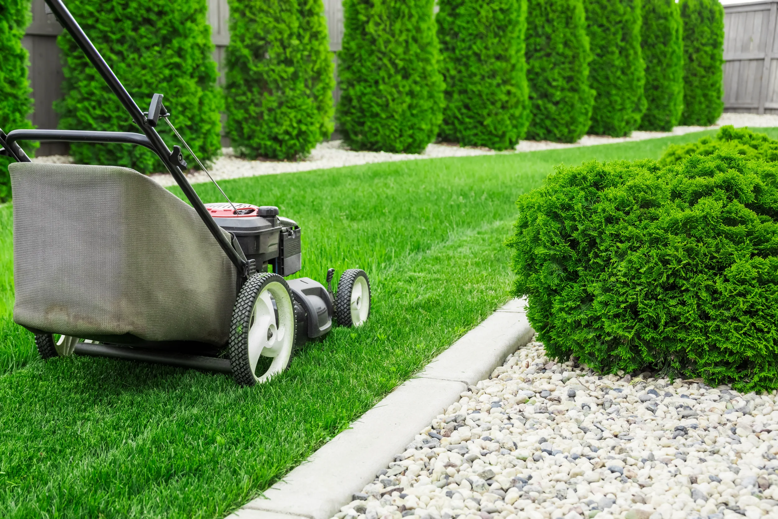 Helping landlords and property manages keep the exterior of rentals tidy