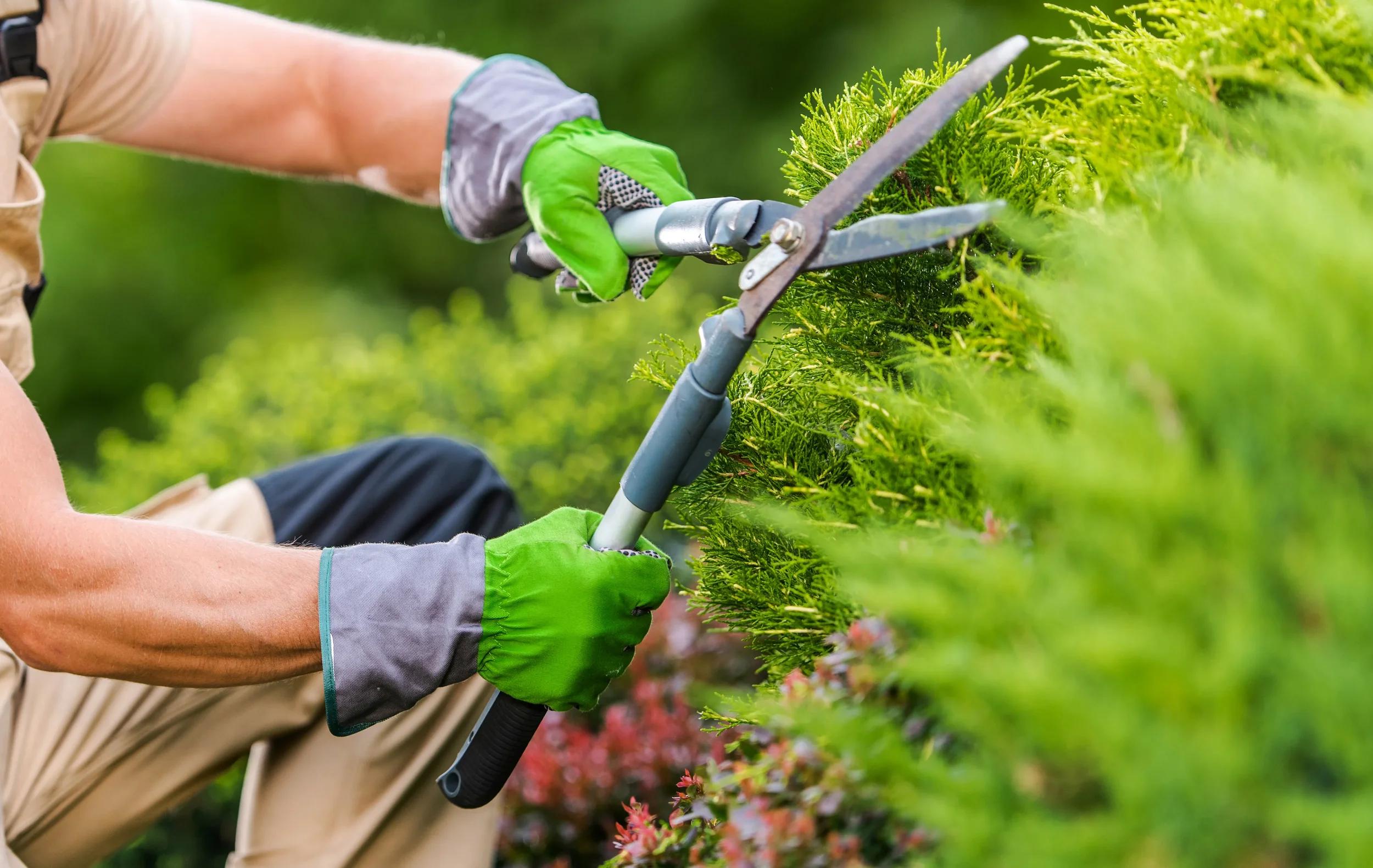 Tidying up the exterior of rental properties in Whanganui