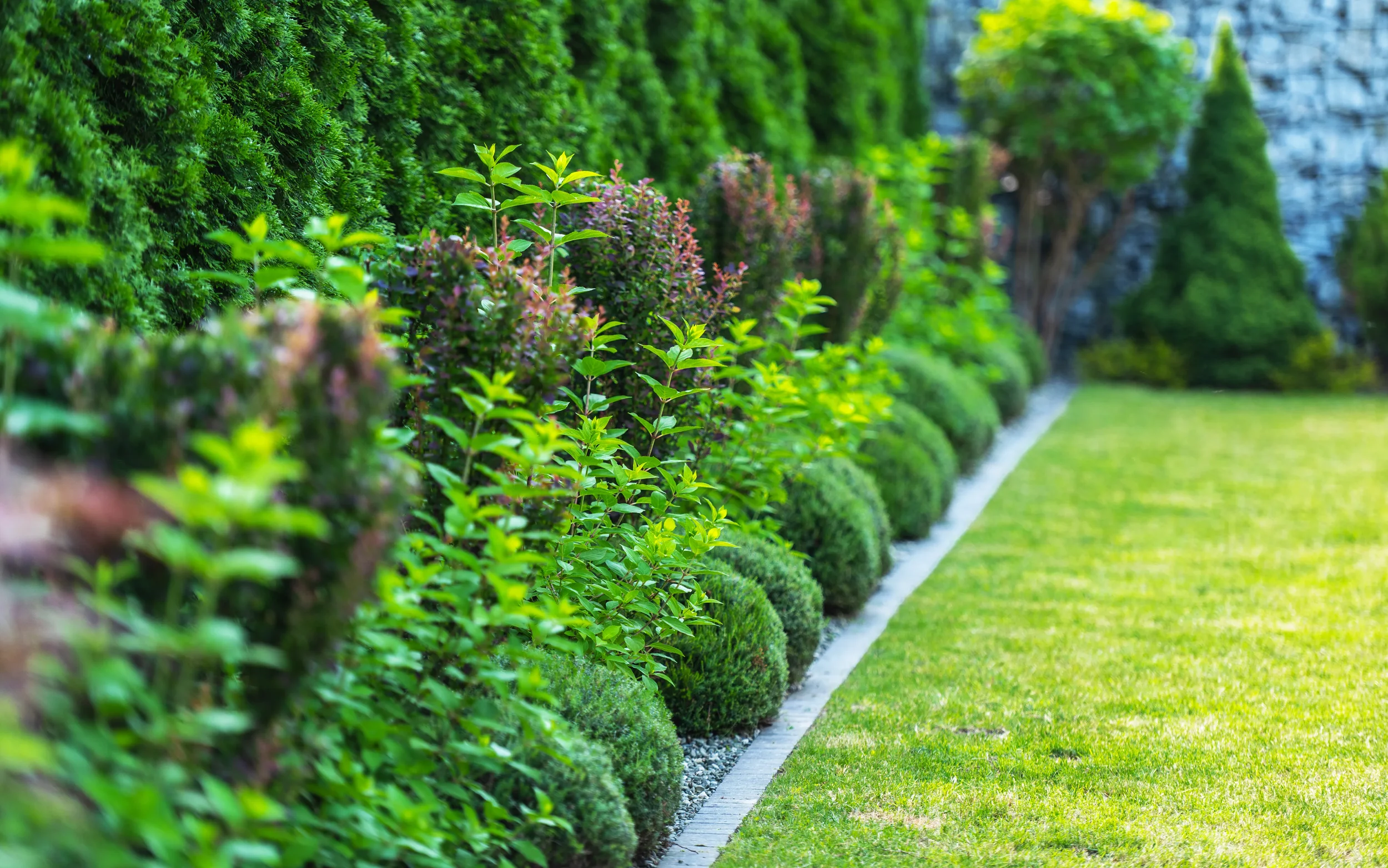 Tidy mowed lawns and edges in Whanganui