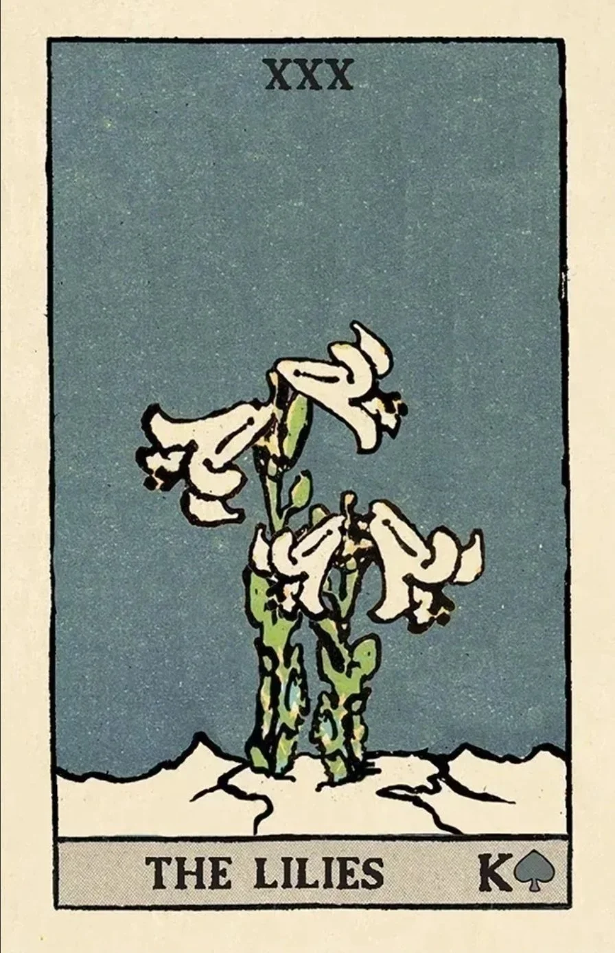 1000060029.jpg
