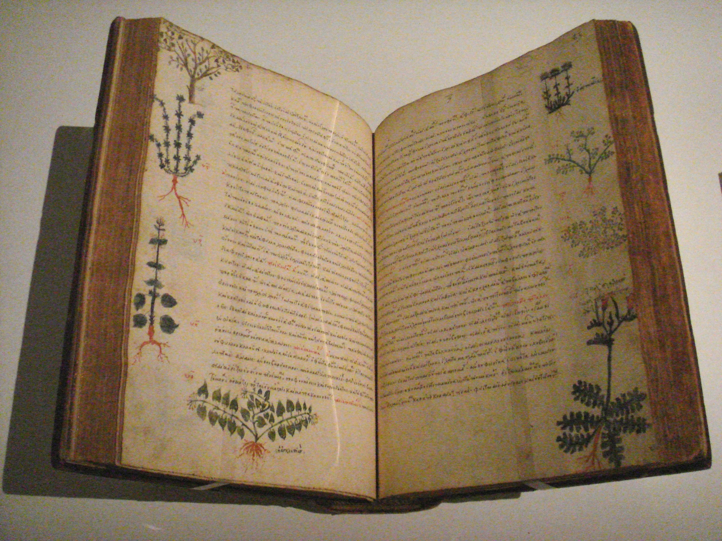 Ancient botanical manuscript featuring hand-drawn medicinal plants and herbal illustrations.