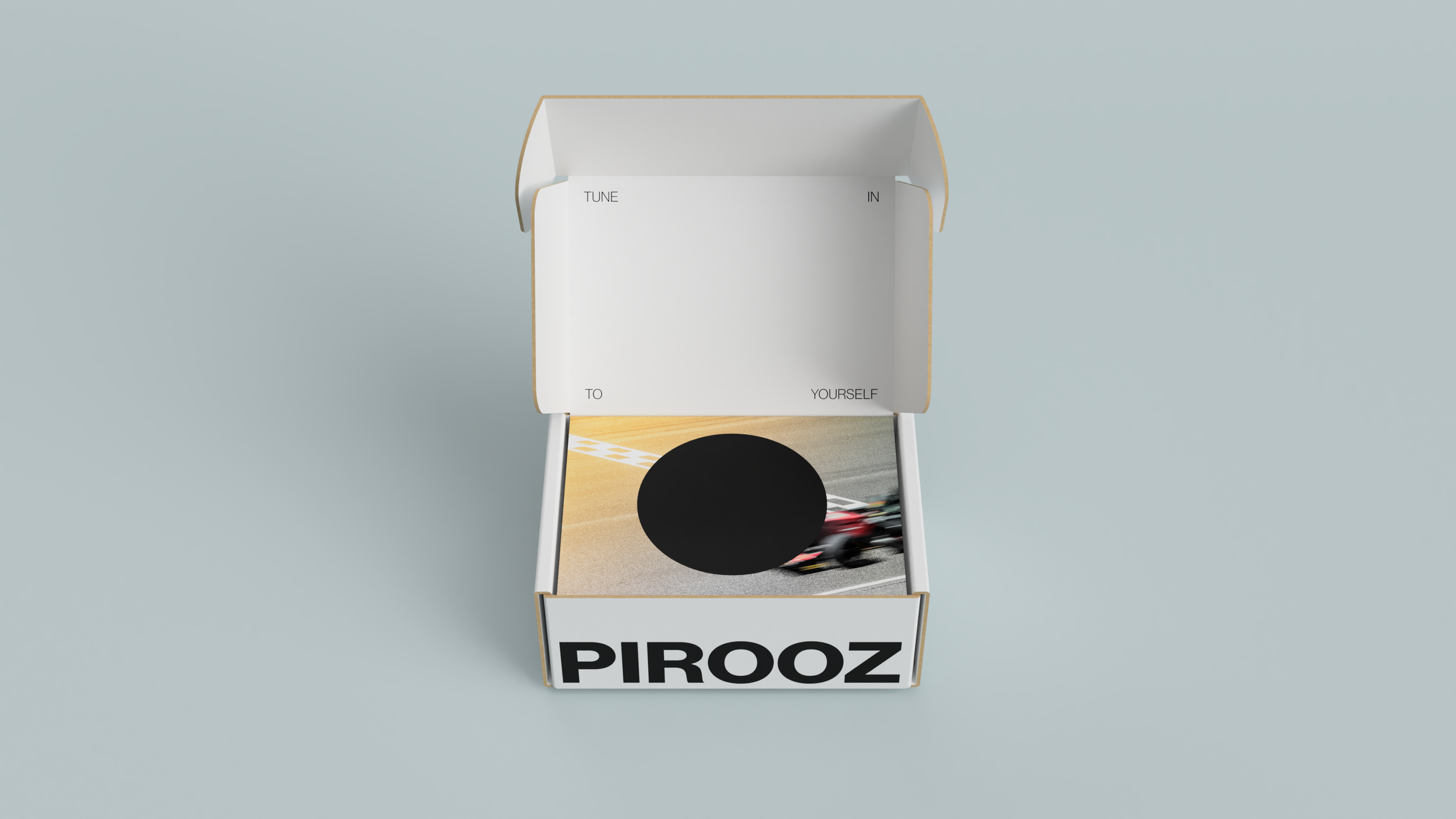 Pirooz_Mailer Box_open from above.png