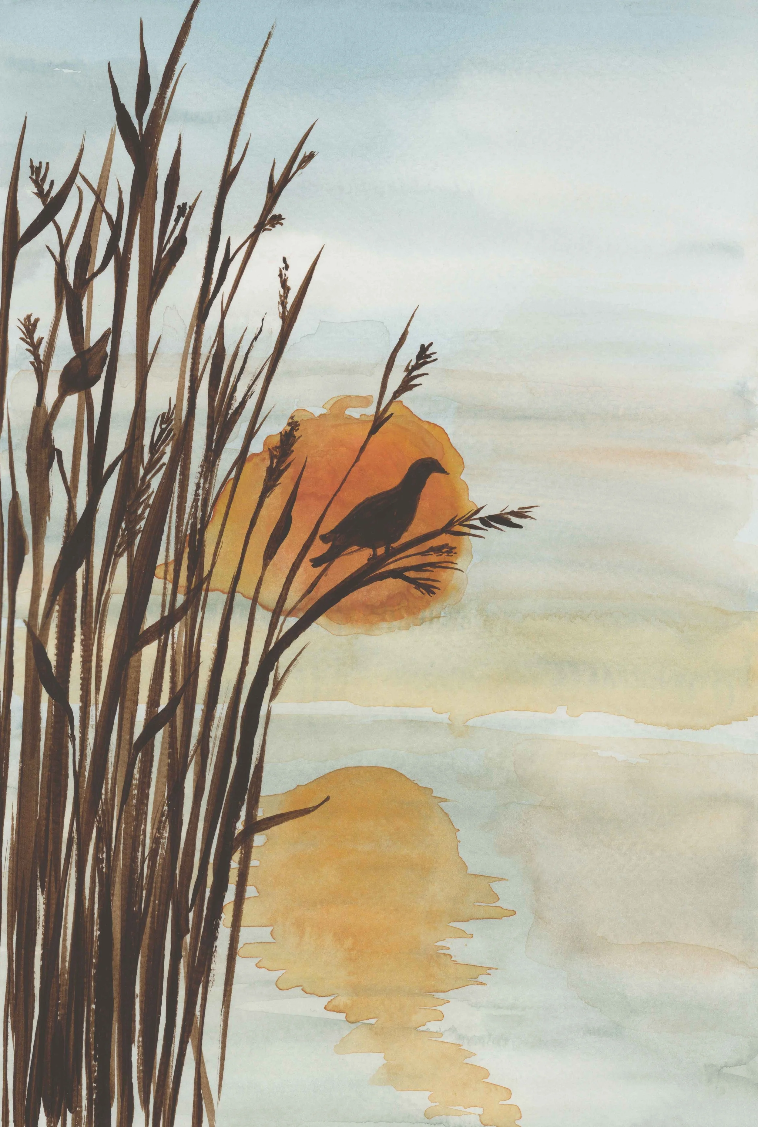 Songbird Sunset