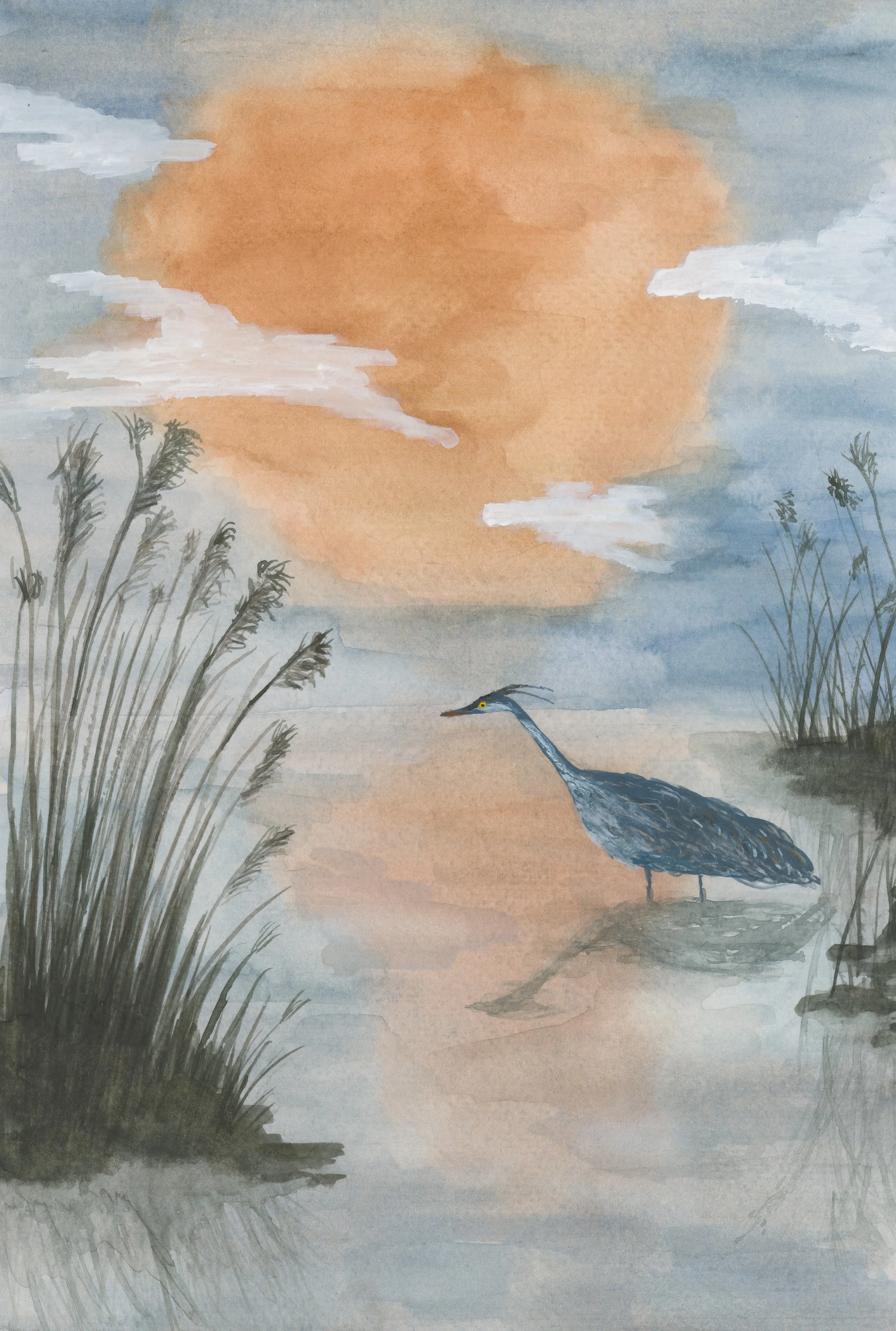 Great Blue