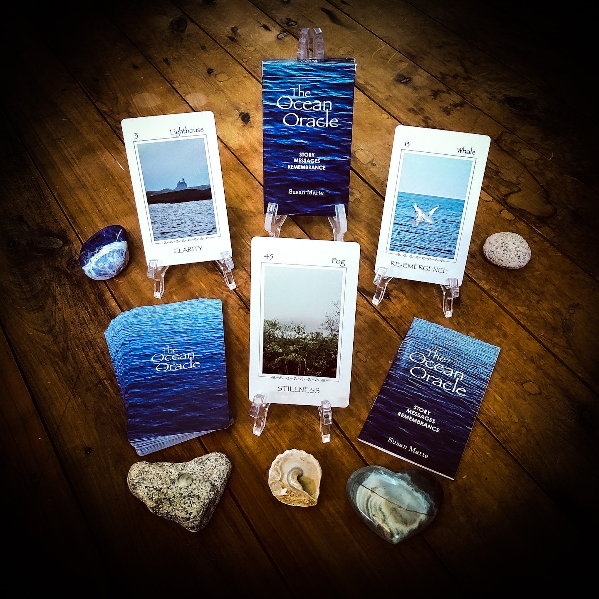 The Ocean Oracle