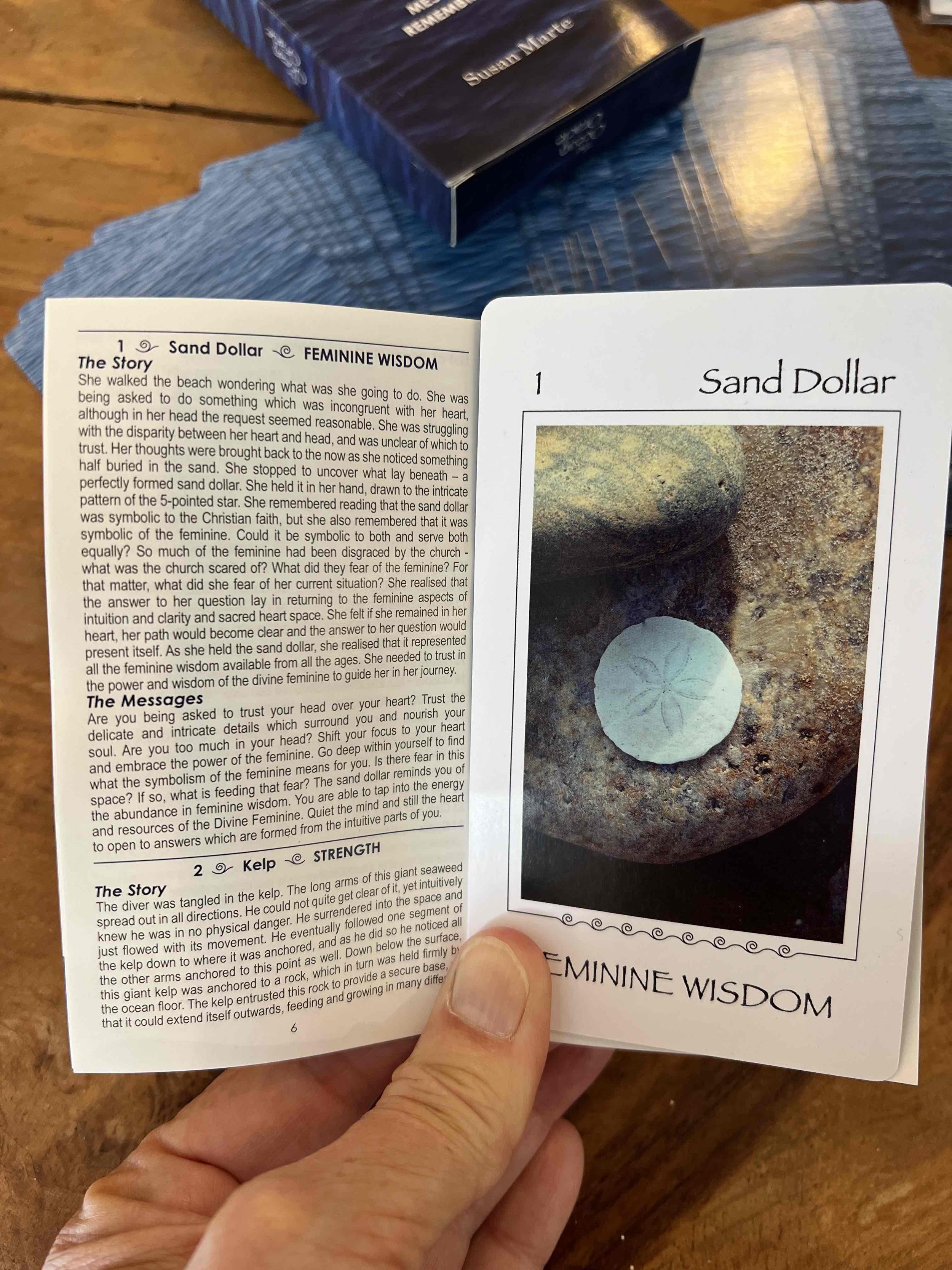 Etsy Oracle sanddollar card writing.jpg