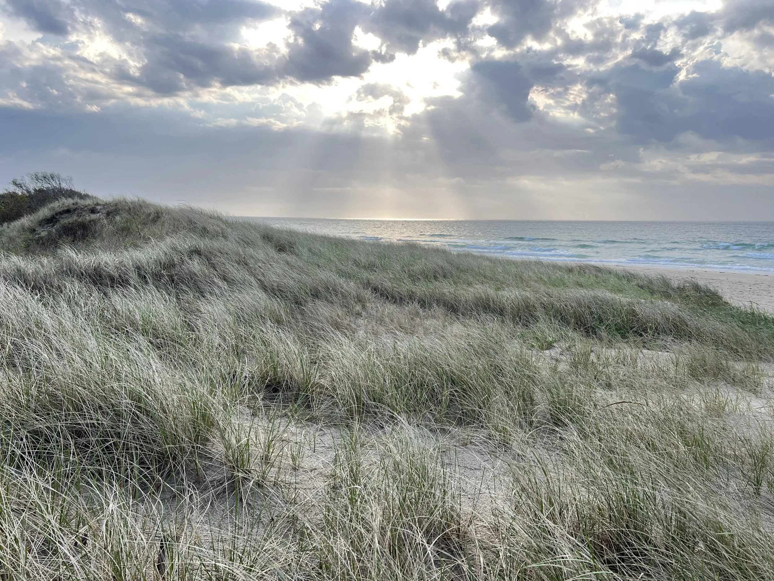 Morning Rays