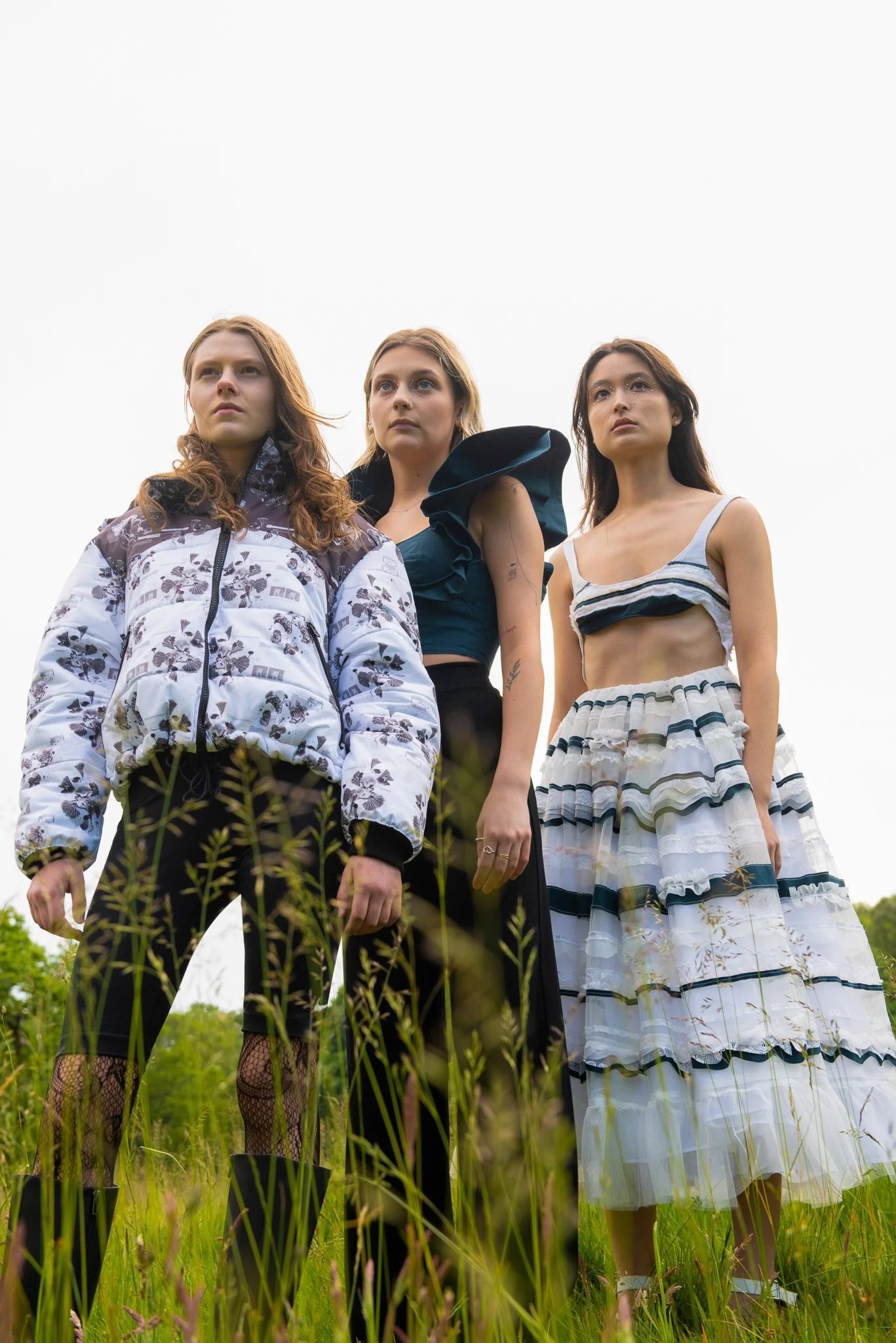 Entangled Life Collection