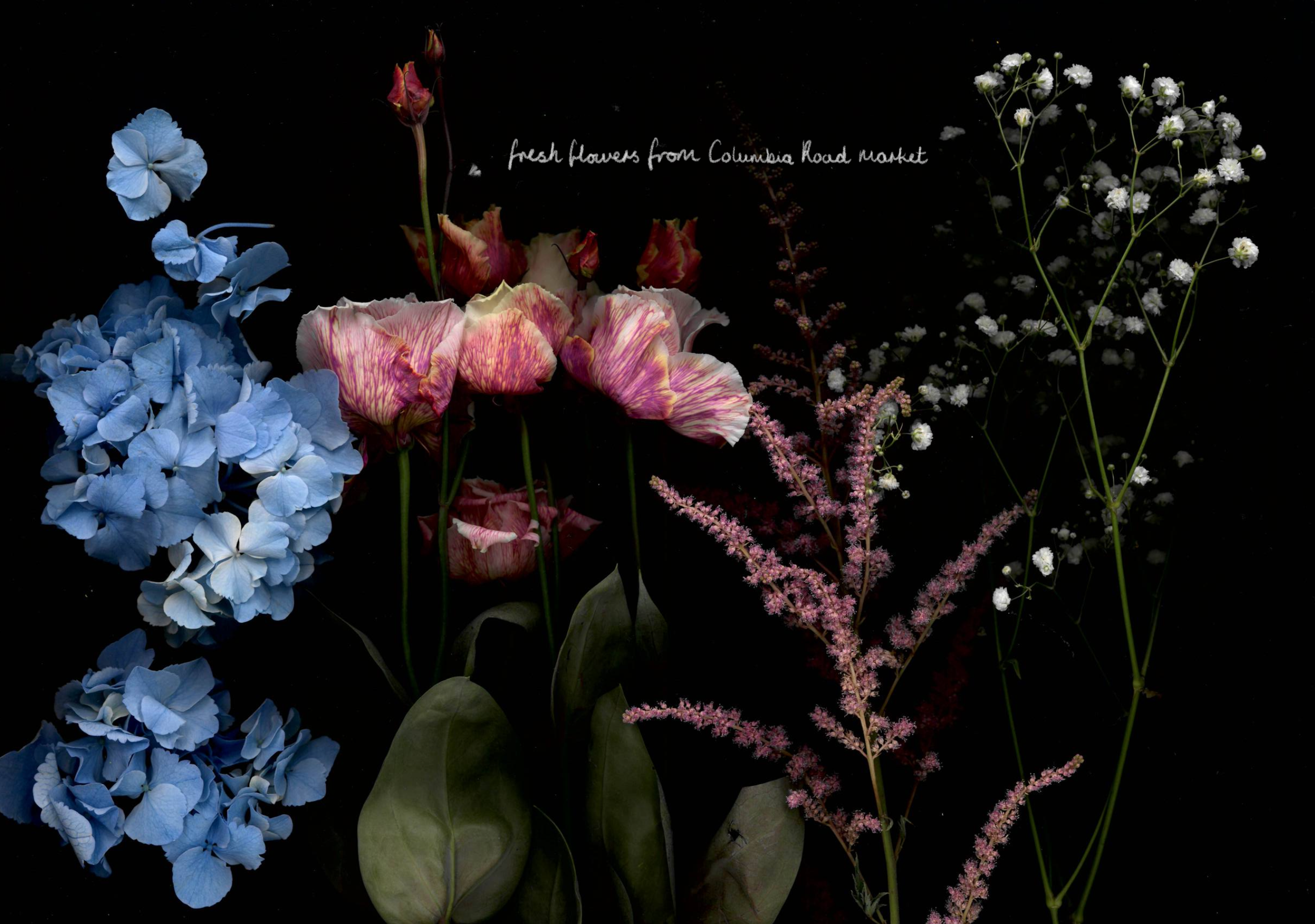 Screenshot 2026-03-25 at 21.58.36.png