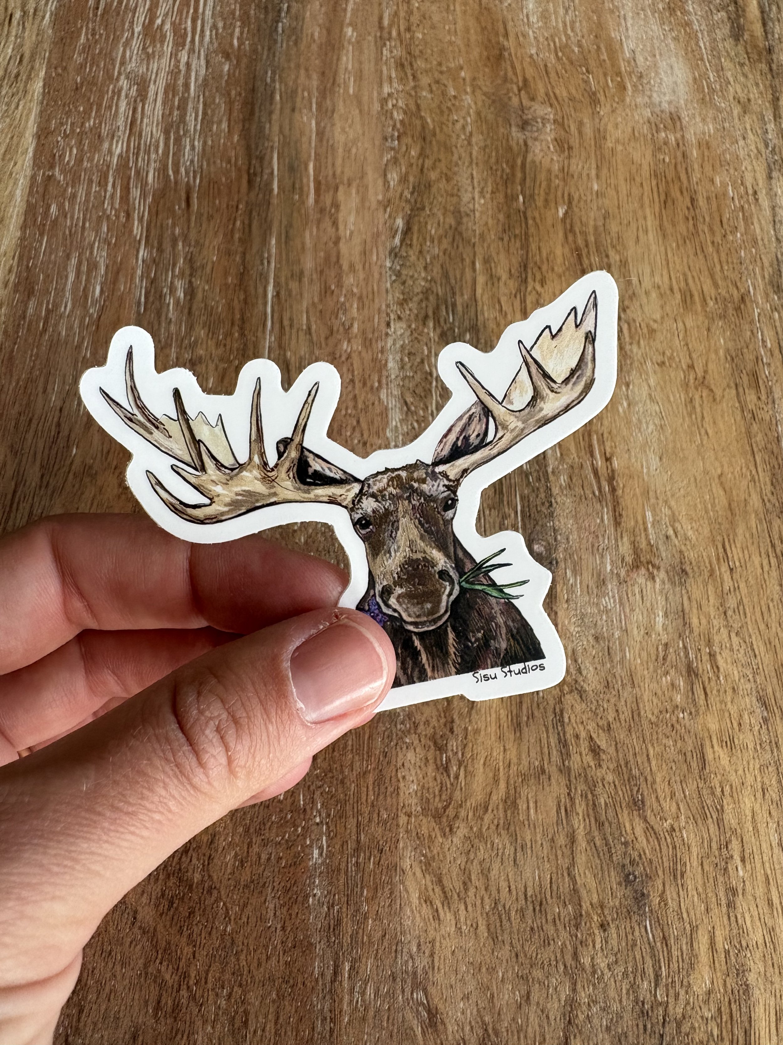 Moose 2.jpeg