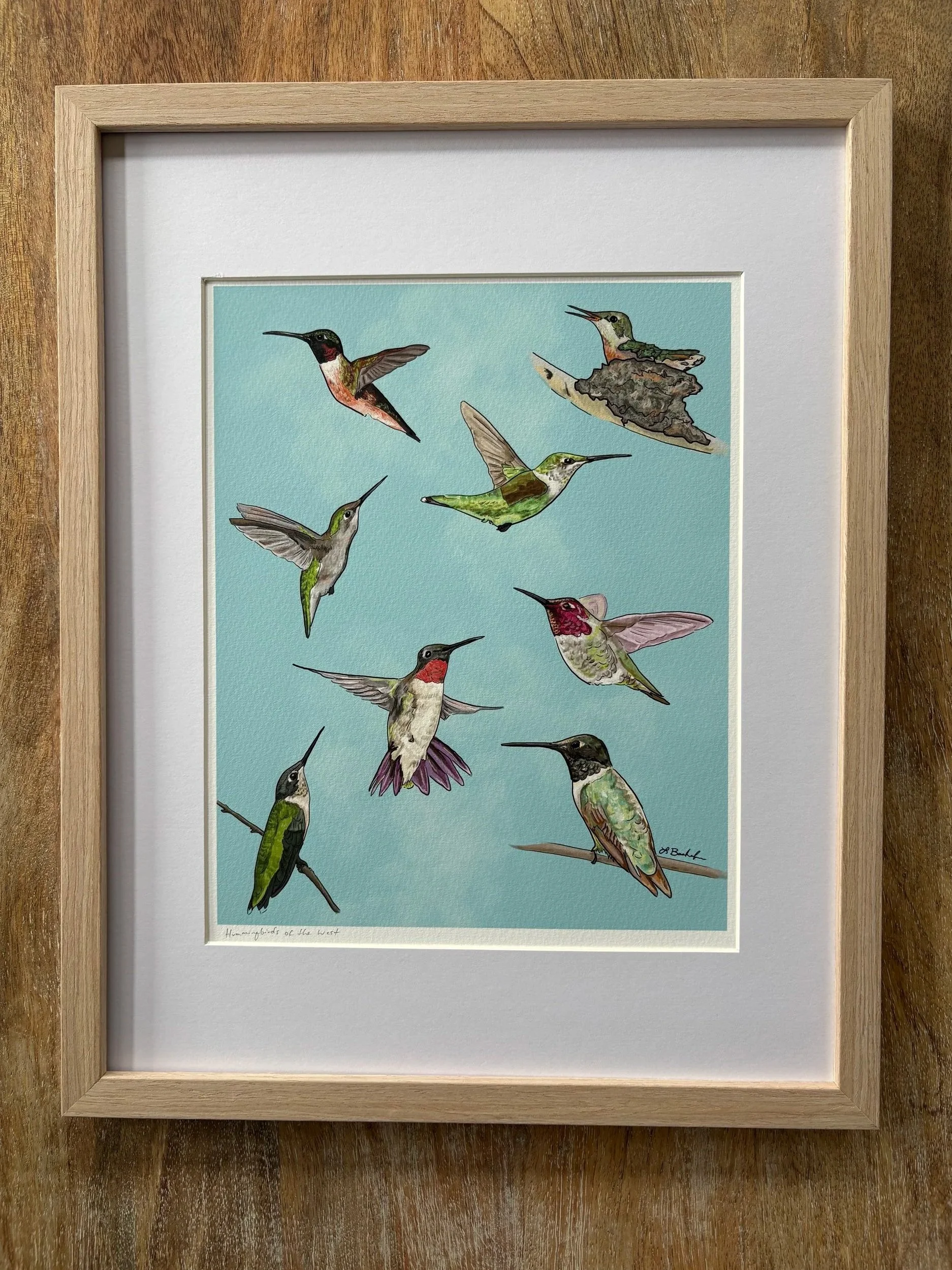 Humming Birds