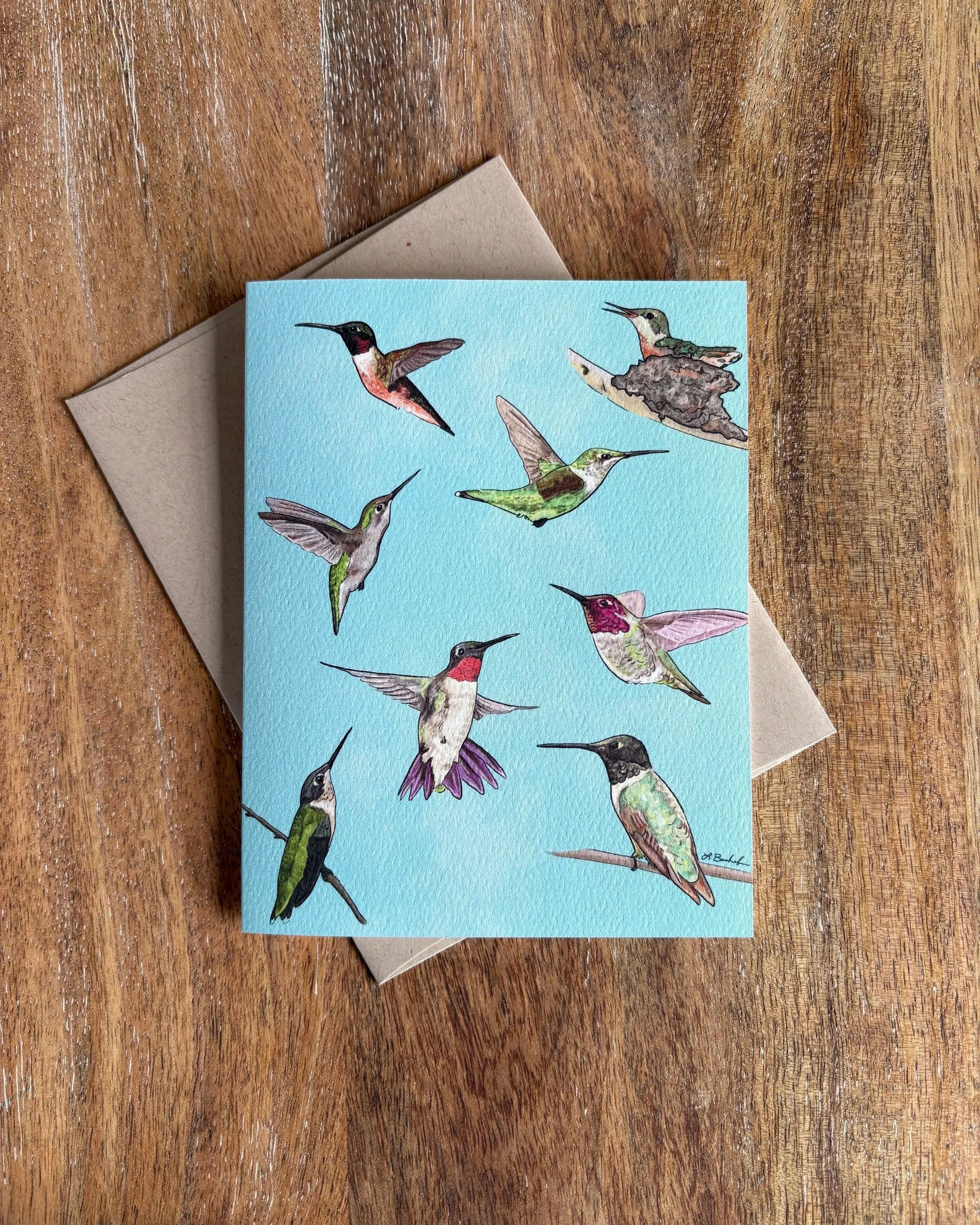 Hummingbirds of the Rocky Mountains