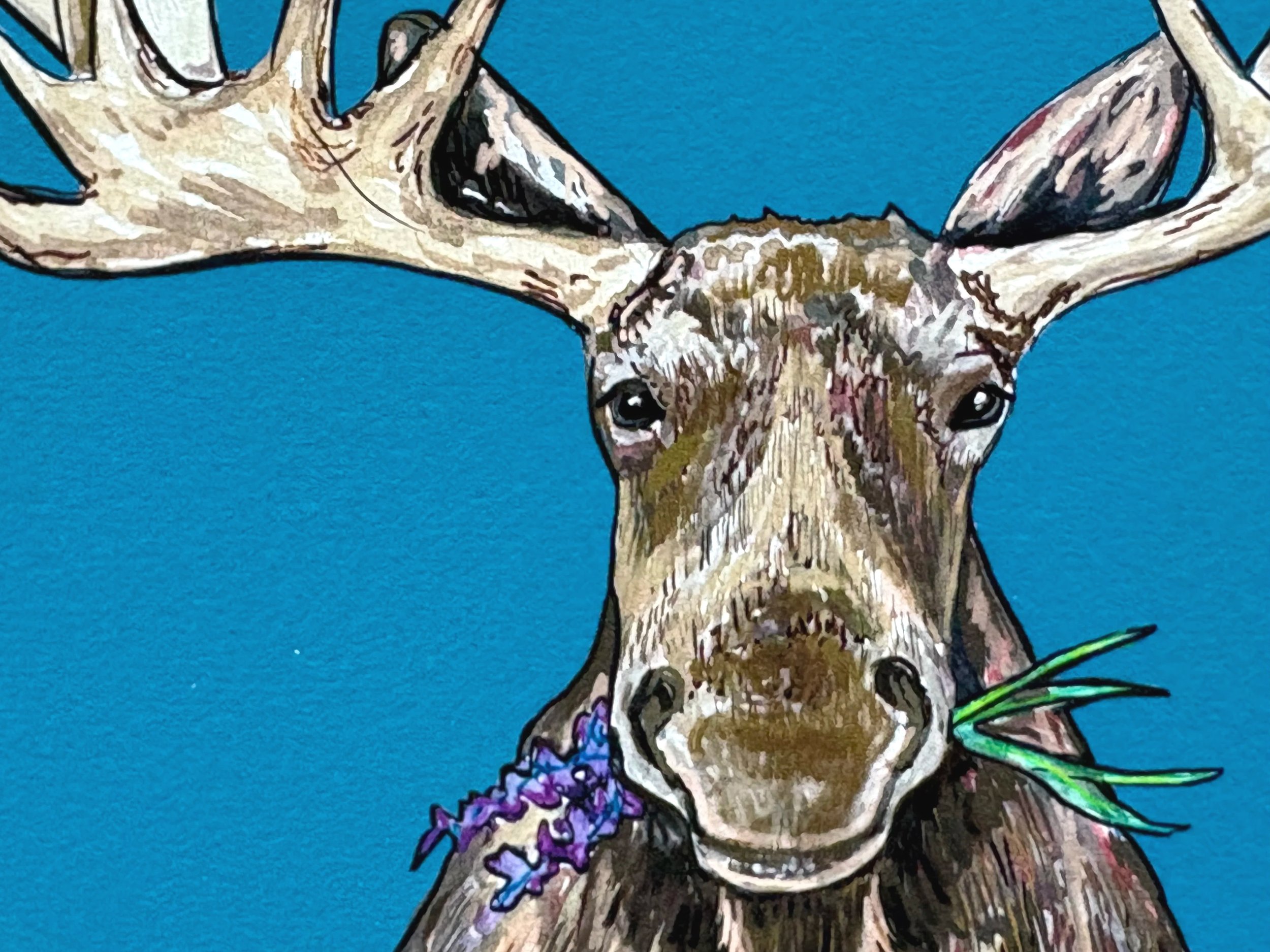 Moose+4.jpg