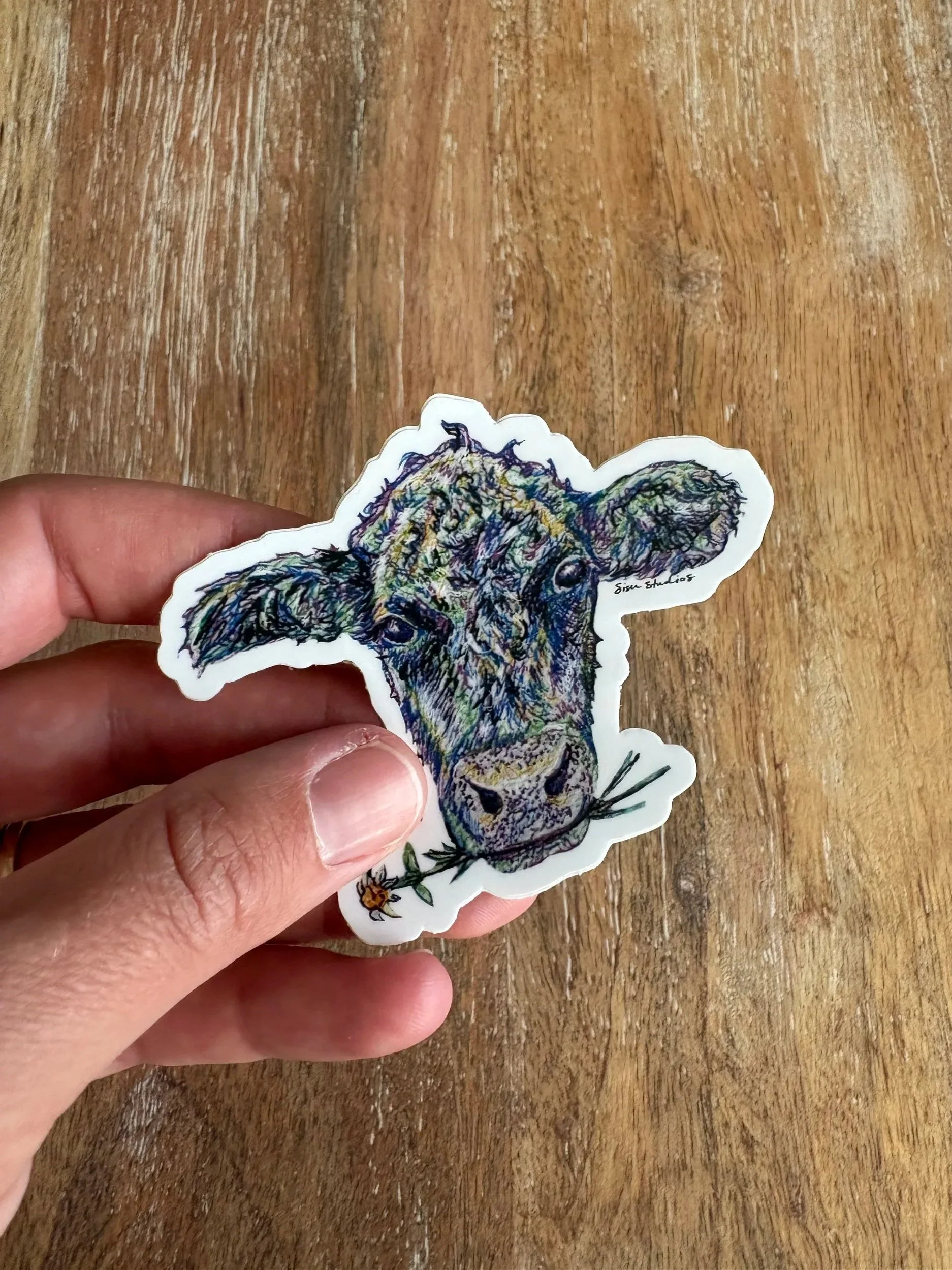 Cow+2.jpg
