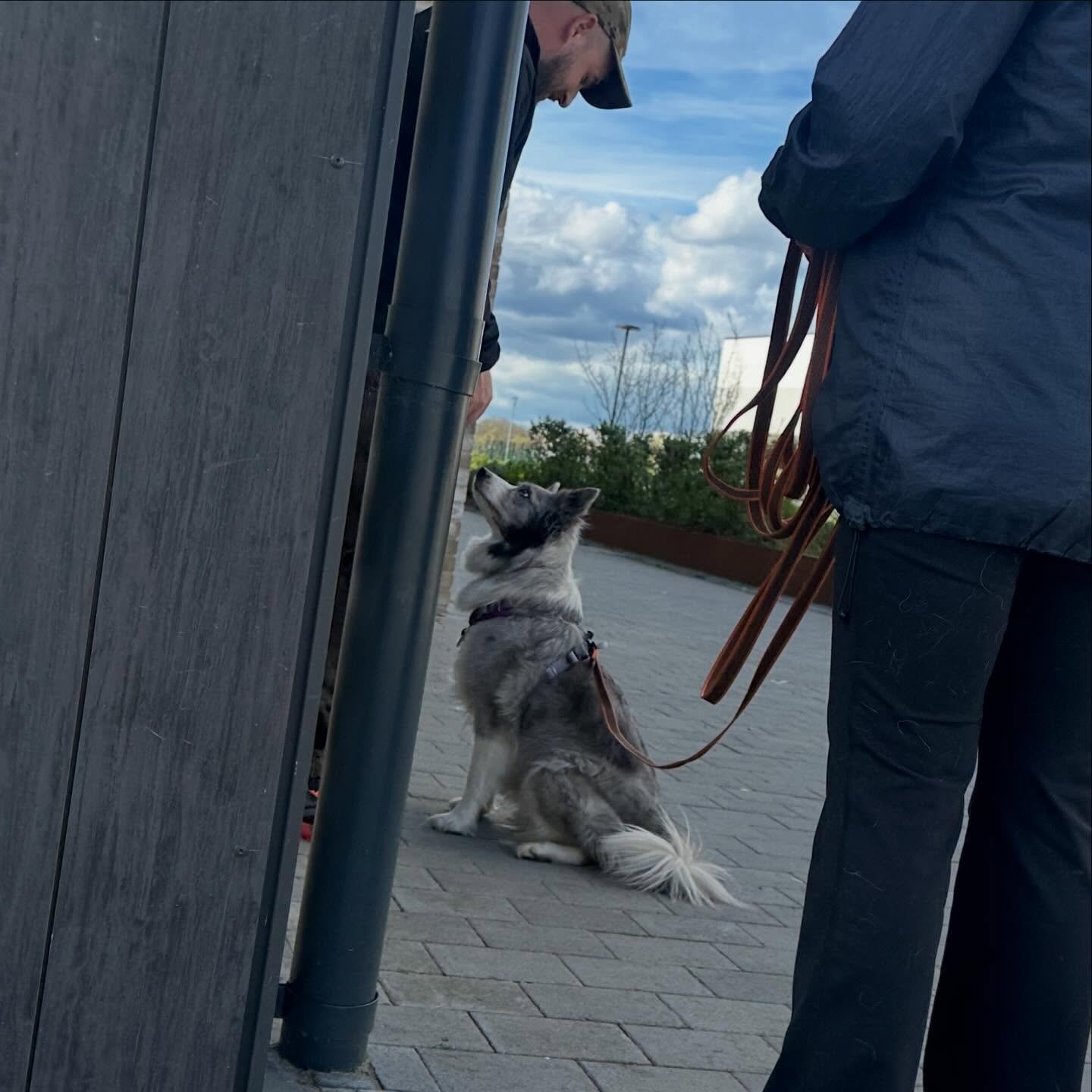 🐾 Introduction to Mantrailing &ndash; 25th April at 4pm 🐾

Ever wondered just how incredible your dog&rsquo;s nose really is?

Mantrailing is one of the most enriching activities you can do with your dog. It allows them to do what they&rsquo;re nat