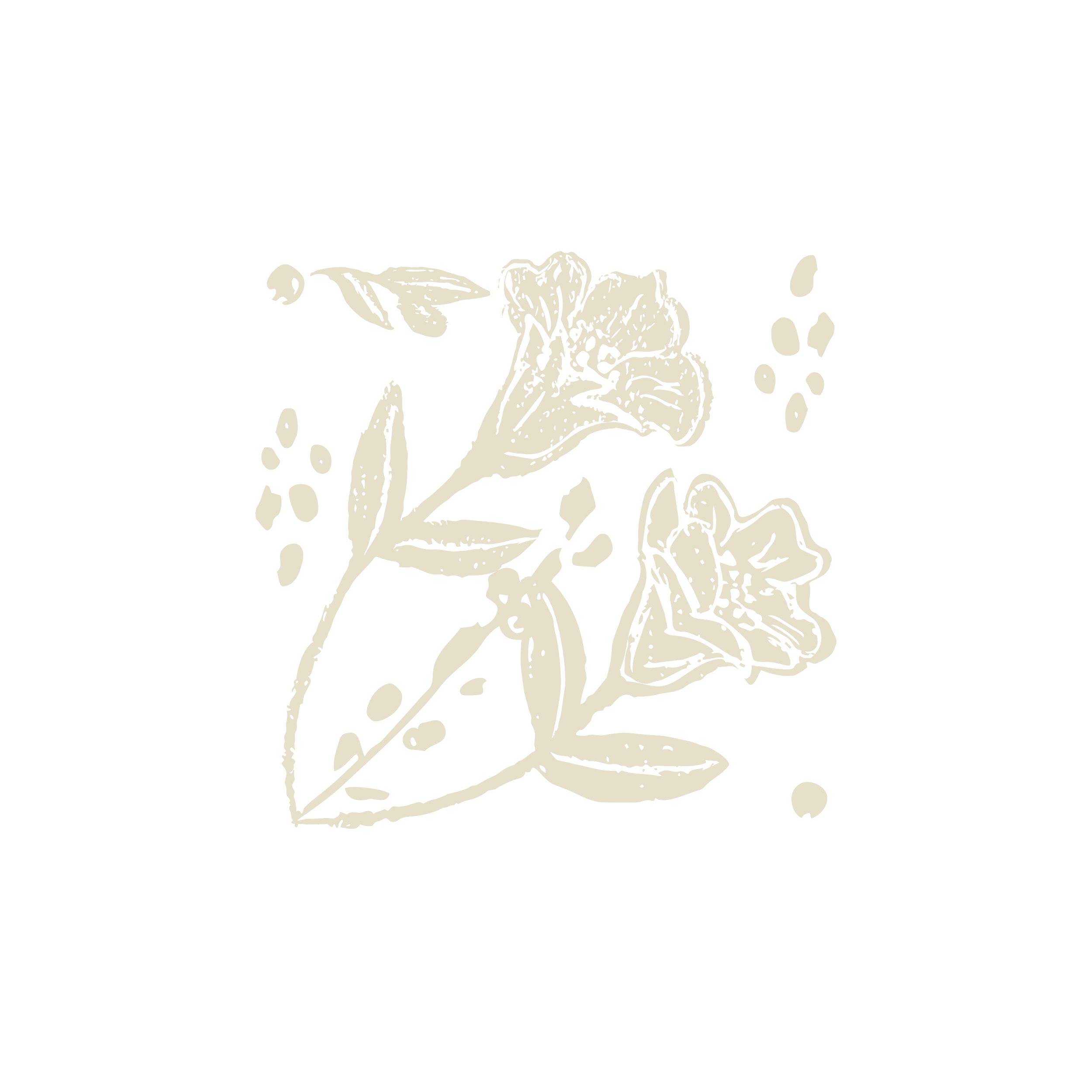 Outline of a hand holding a flower against a black background