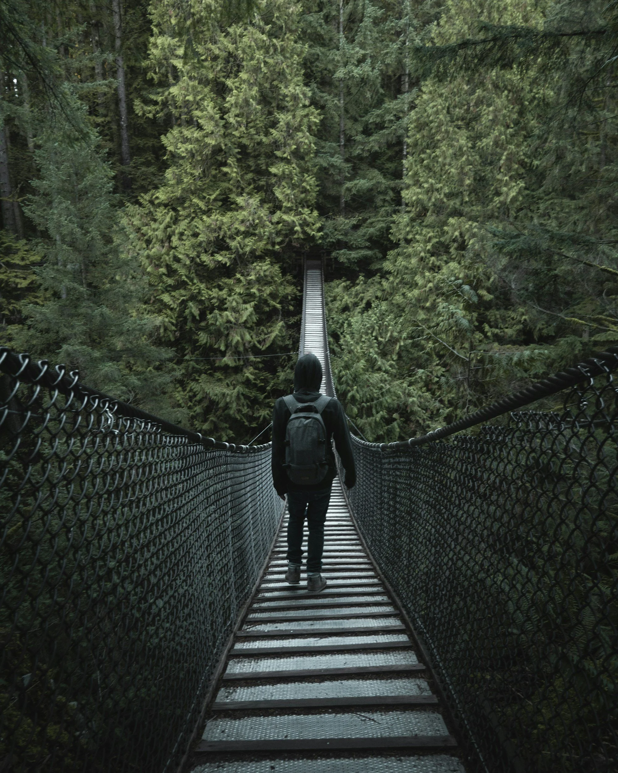 Person walking on a narrow suspension bridge through a dense forest of tall green trees.