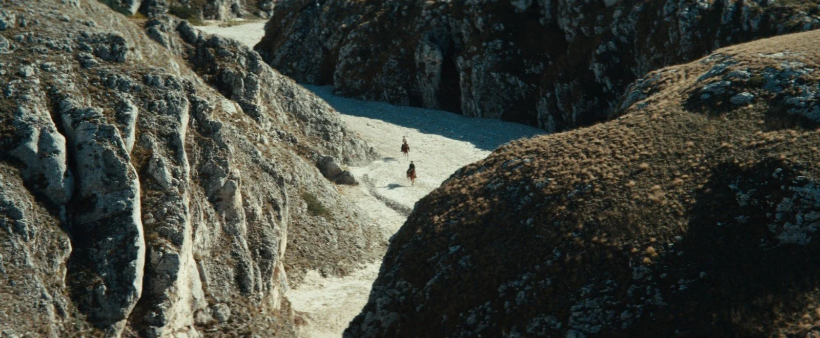 WhatsApp Image 2023-02-28 at 16.40.19 (3).jpeg