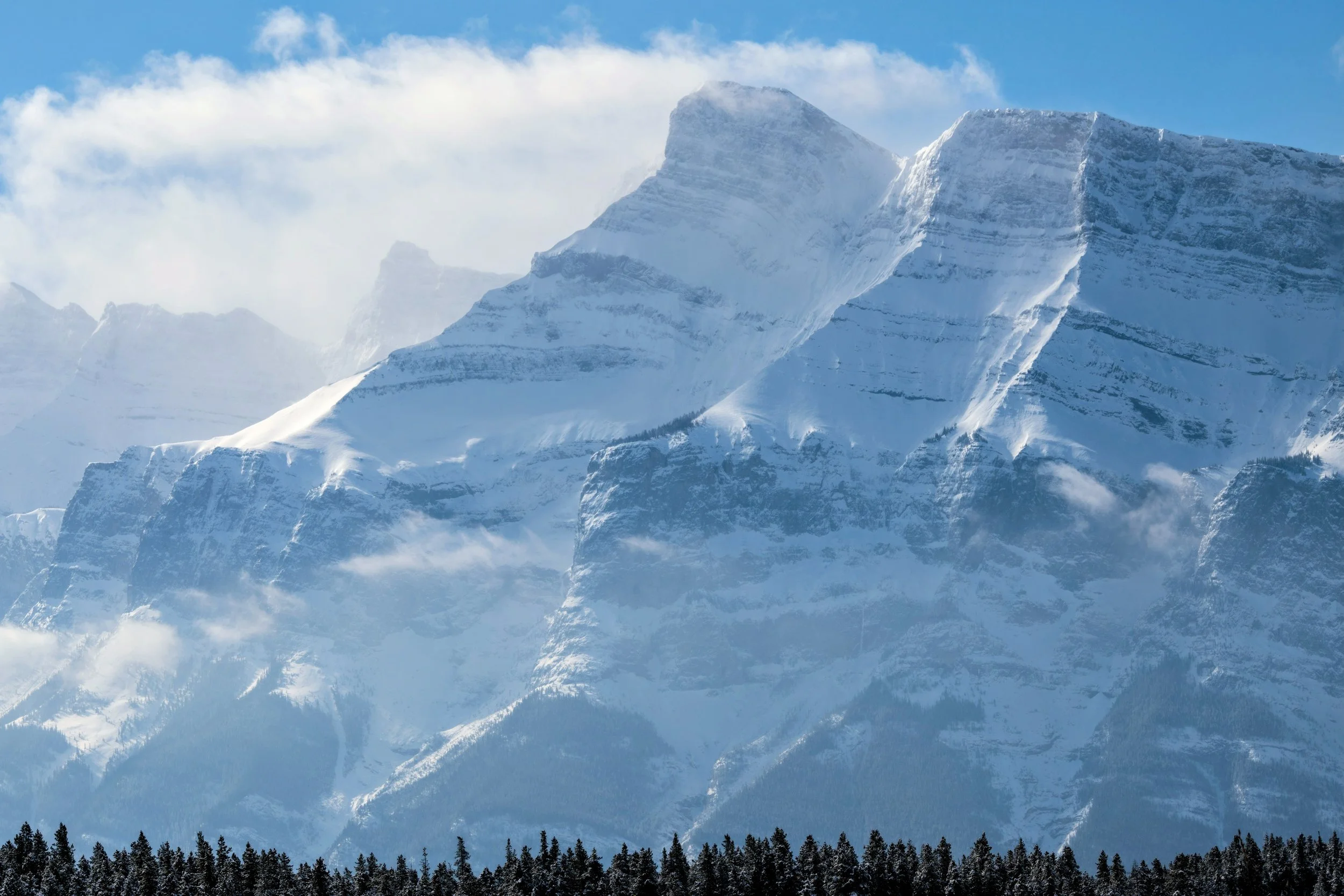 _DSC9246~2.jpg