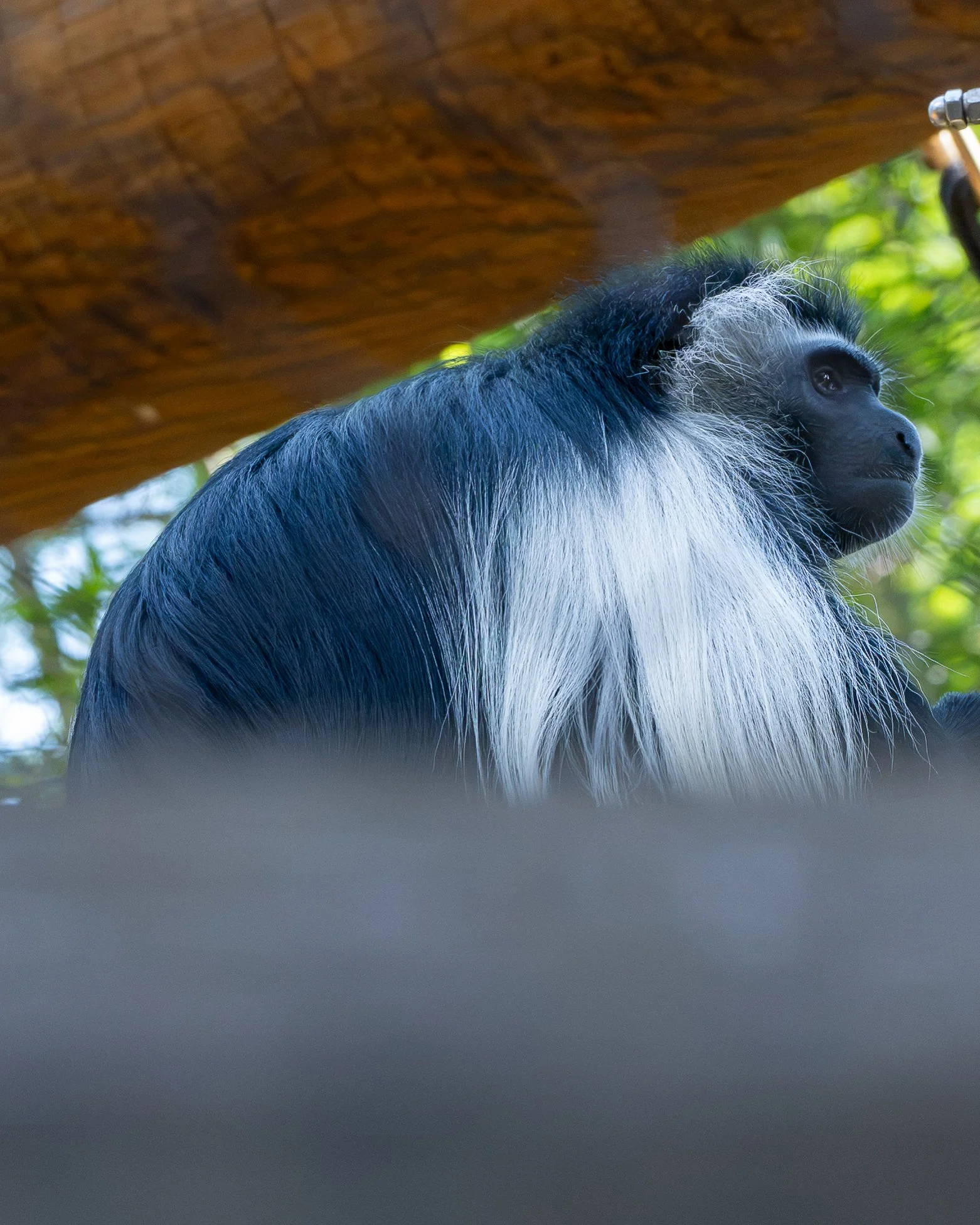 DSC_5921.jpg