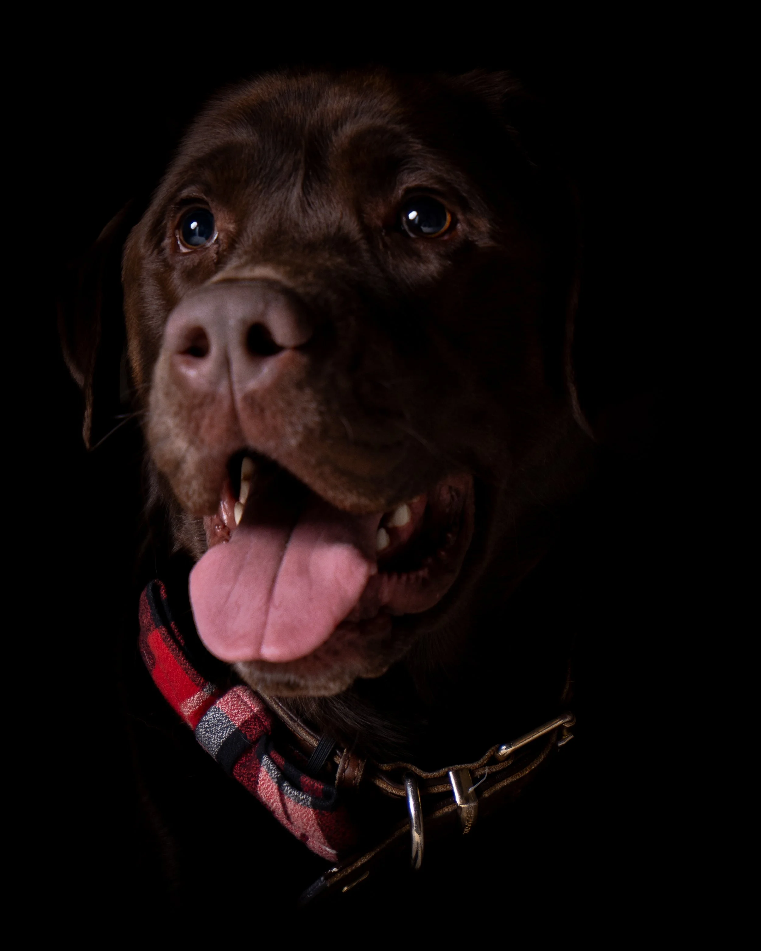 DSC_8582.jpg