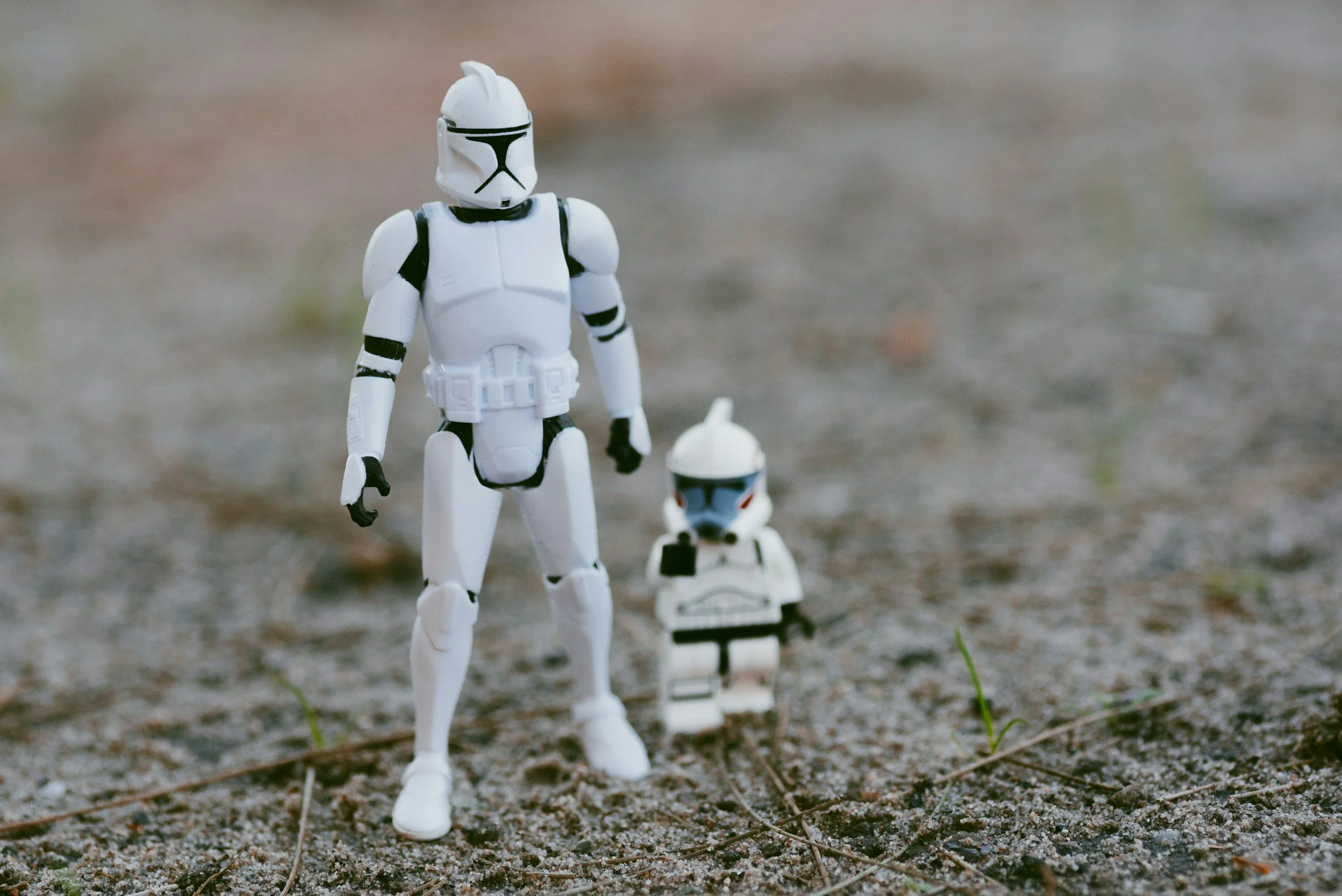 The Small Estate Sale Company vs. the Big Name: Why Bigger Isn't Always Better
