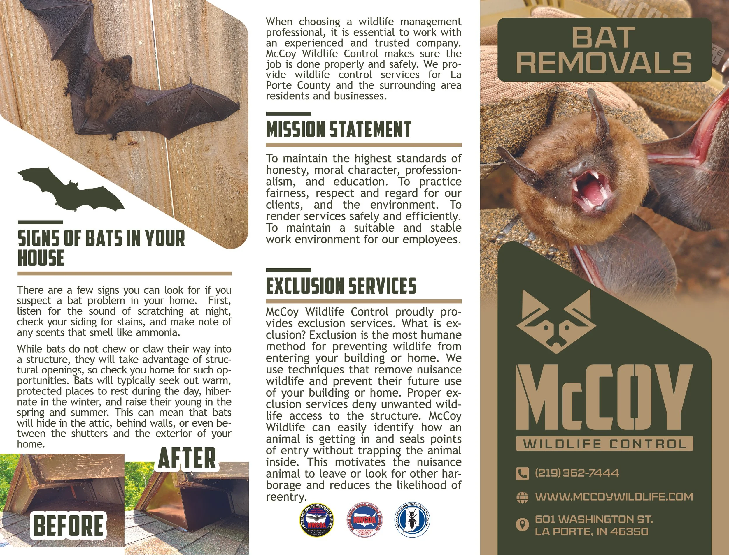 Designed this flyer and the logo for a local business.