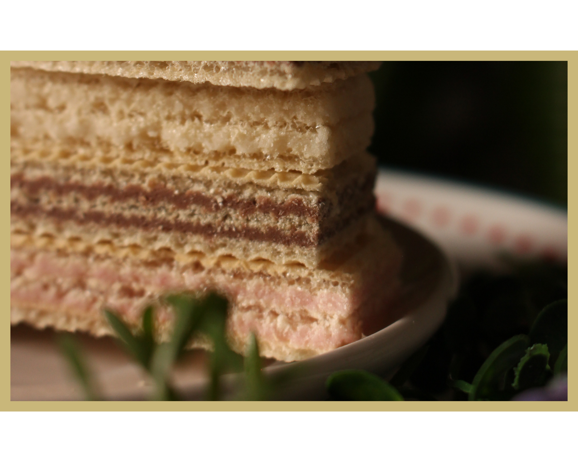 Close-up of sliced layered cake with cream and chocolate filling, on a white plate with green leaves in the background.