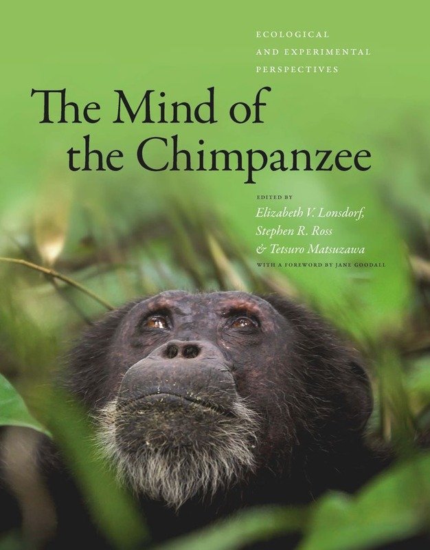 Book cover of The Mind of the Chimpanzee featuring a close-up chimpanzee in a green rainforest