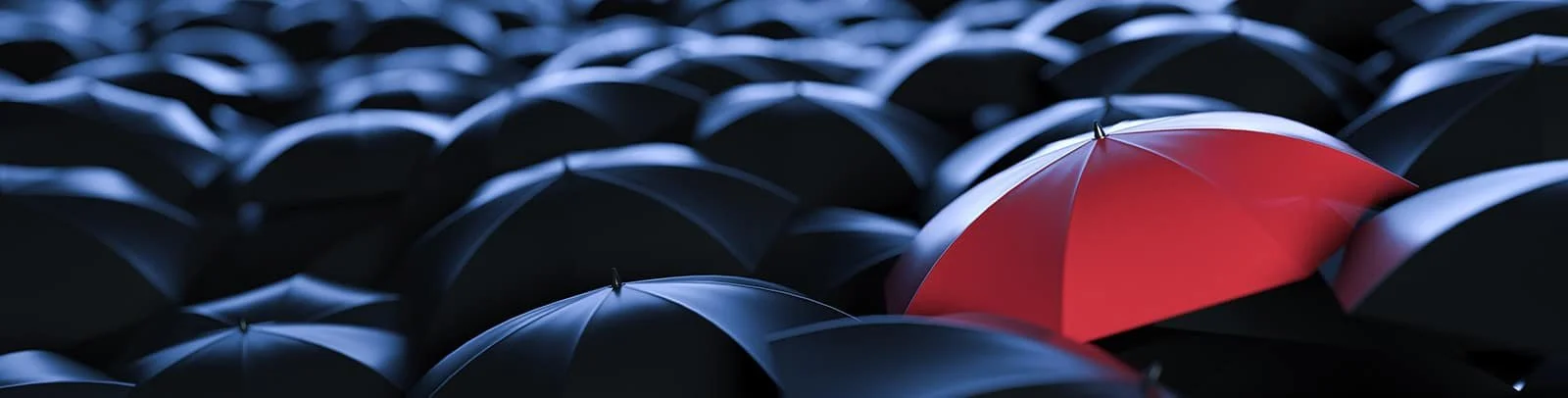 Umbrella-Insurance-Policy.jpg