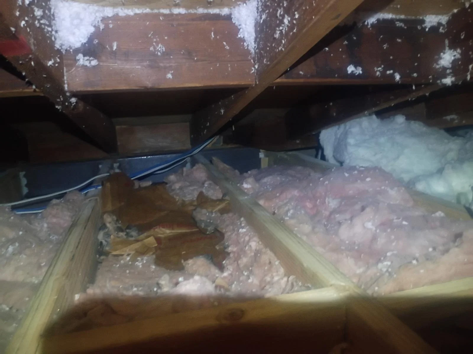 attic-1.jpeg