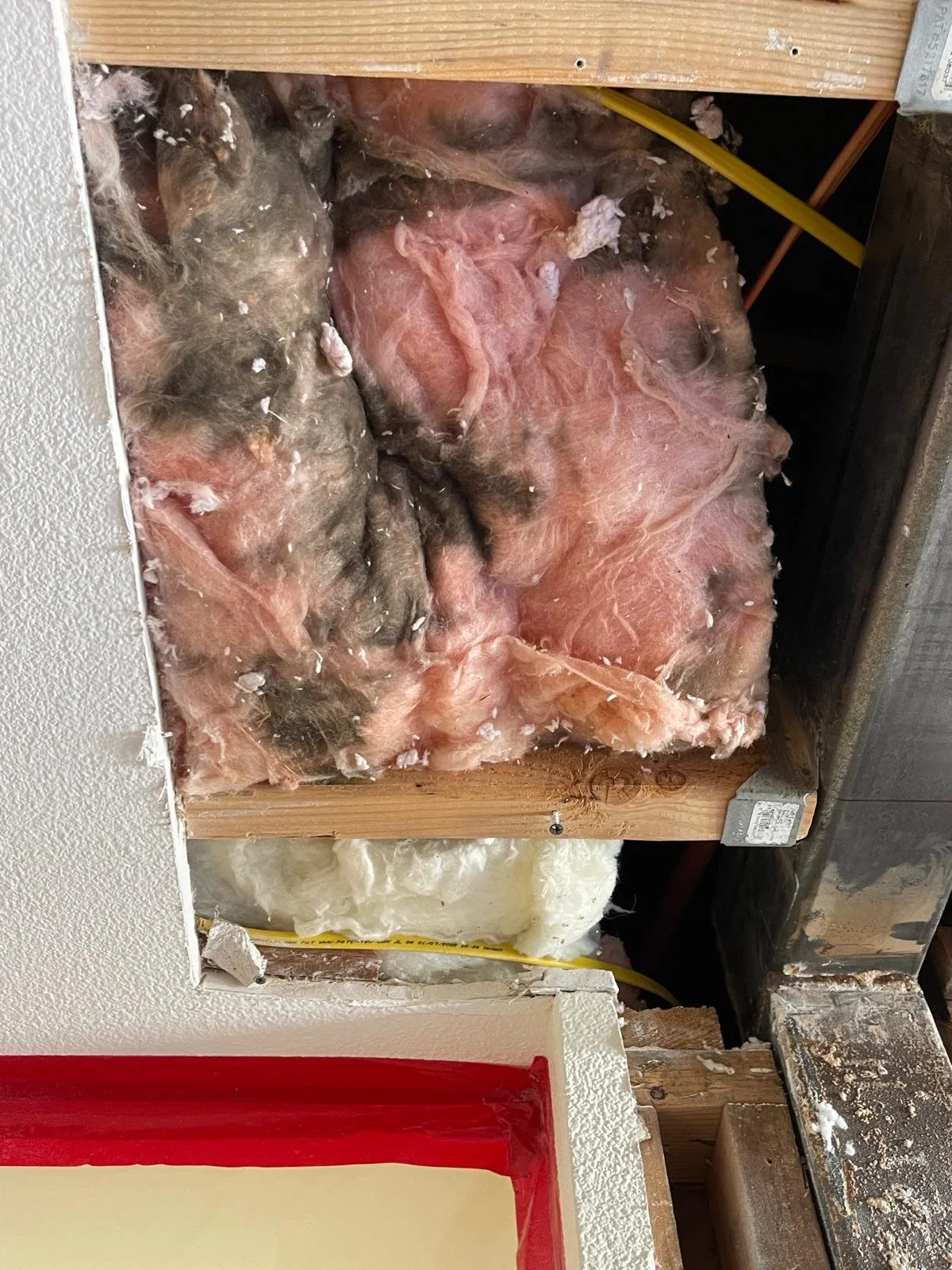 recycled insulation-3.jpeg
