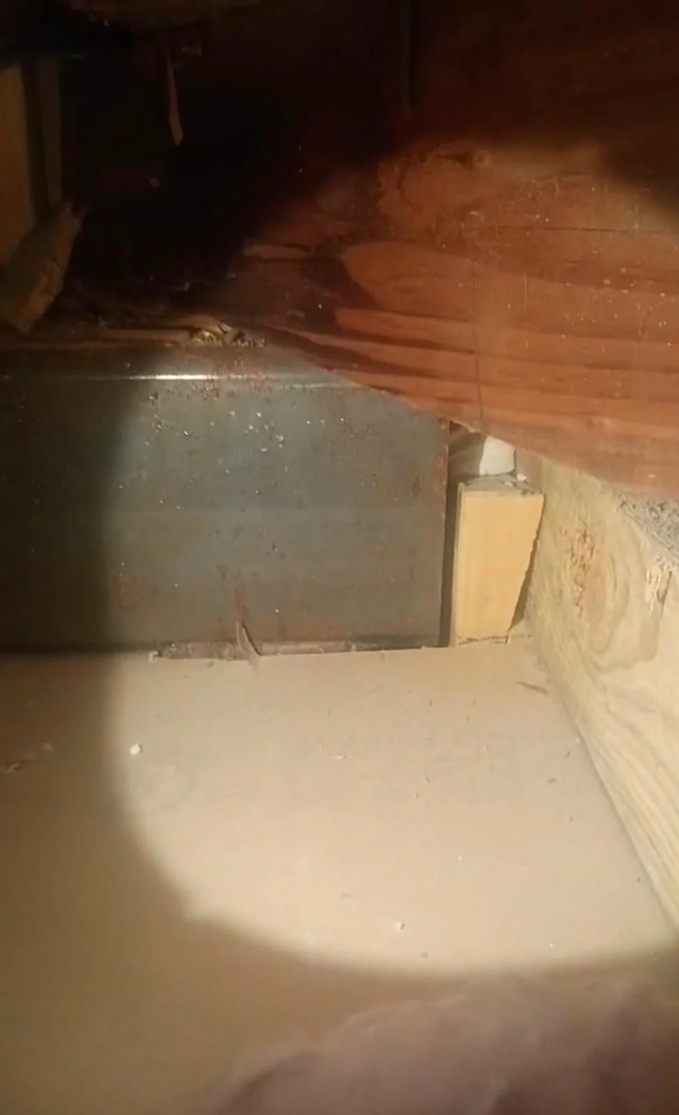Steel Beam - Wood Shim - buted 2.jpeg