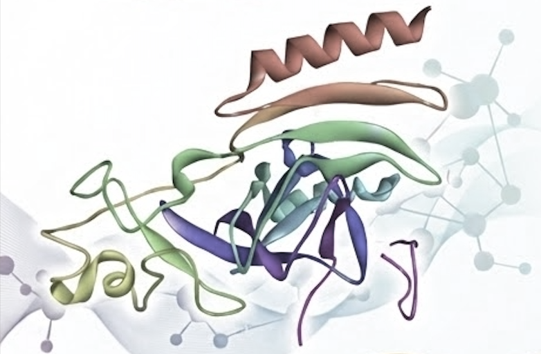 Illustration of protein structure from our research.