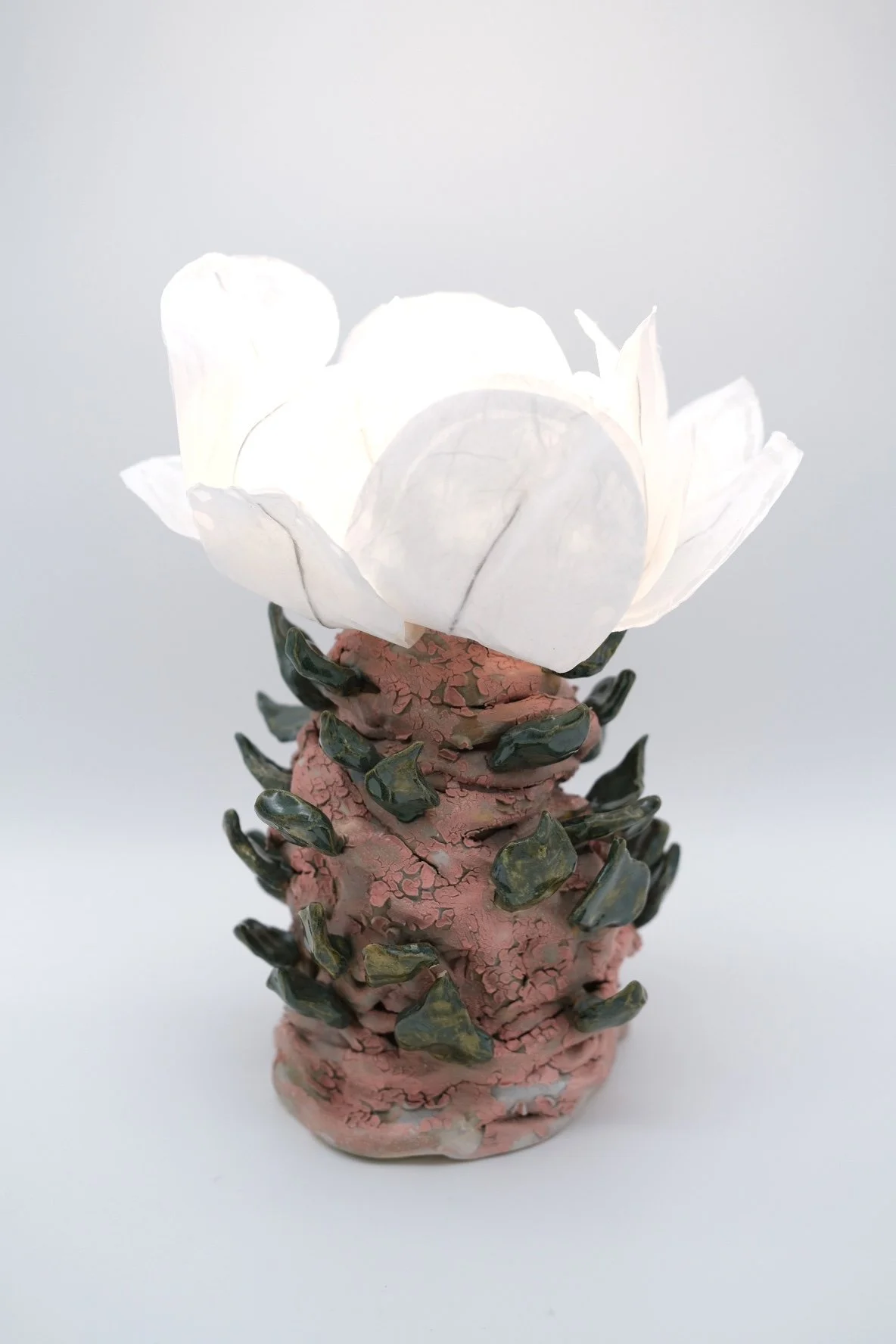 Blossoming birch.jpg