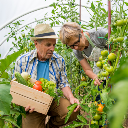  Building a Future-Ready Retirement Living &amp; Aged Care Model: Metlifecare’s Sustainability Journey