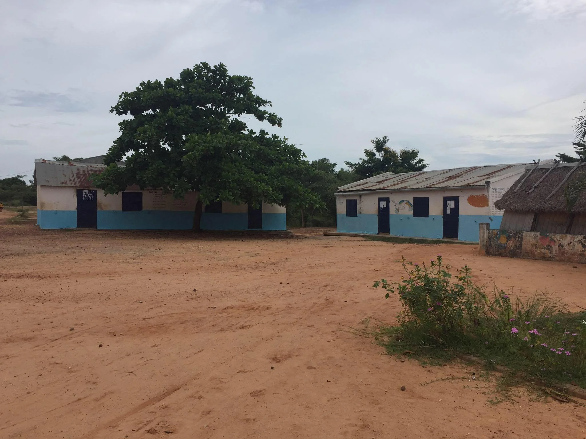 Two white buildings with blue doors and trim, one with a green tree in front, in a sandy area with sparse vegetation and cloudy sky.